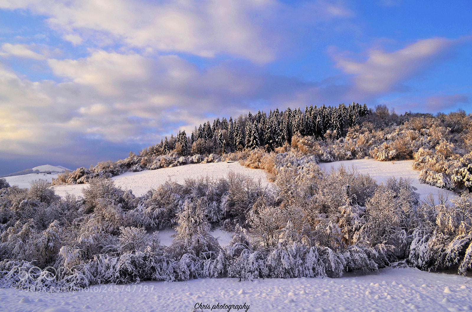 Nikon D5100 sample photo. Morning lights photography