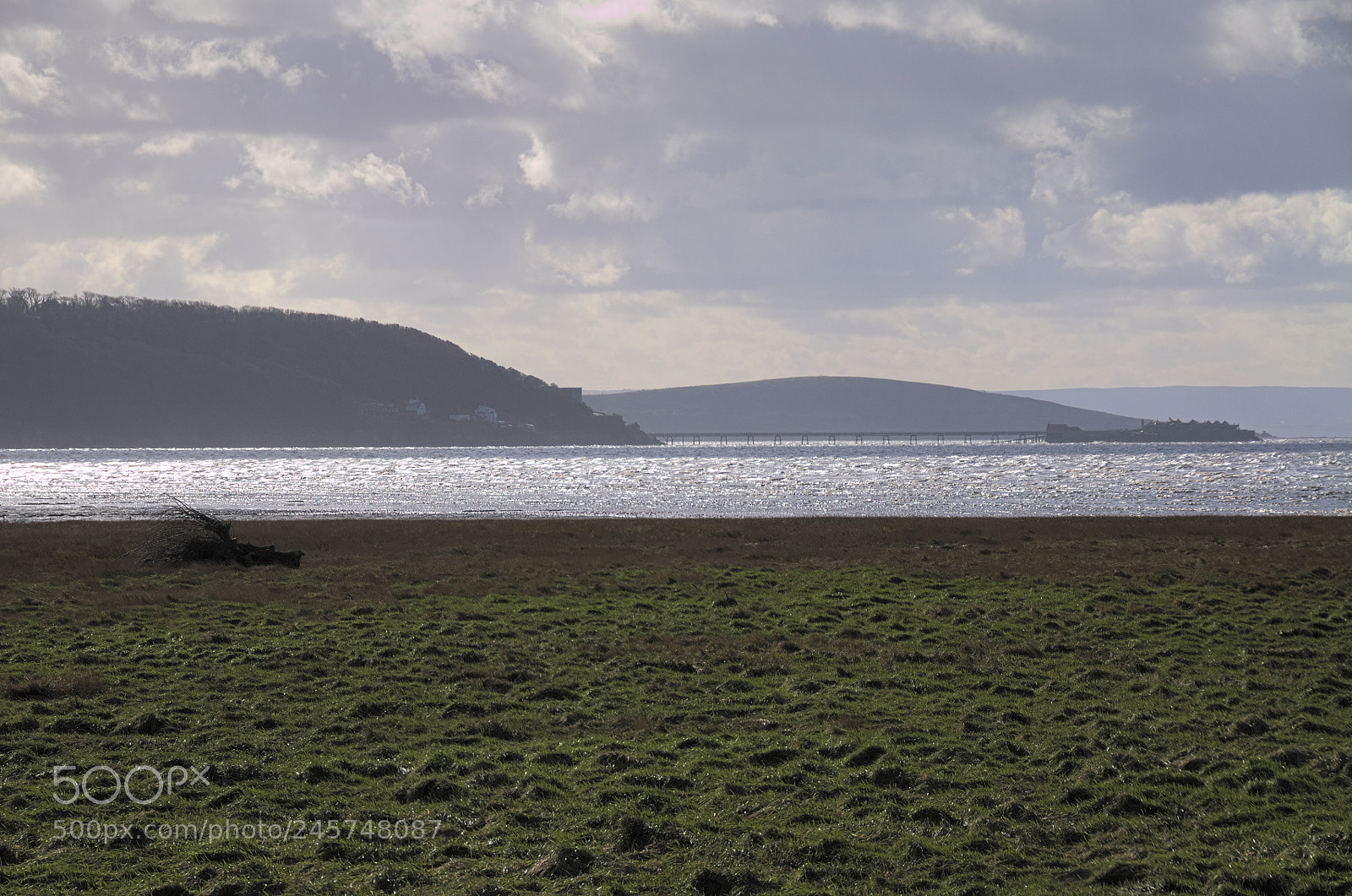 Nikon D300 sample photo. Driftwood on the shore photography