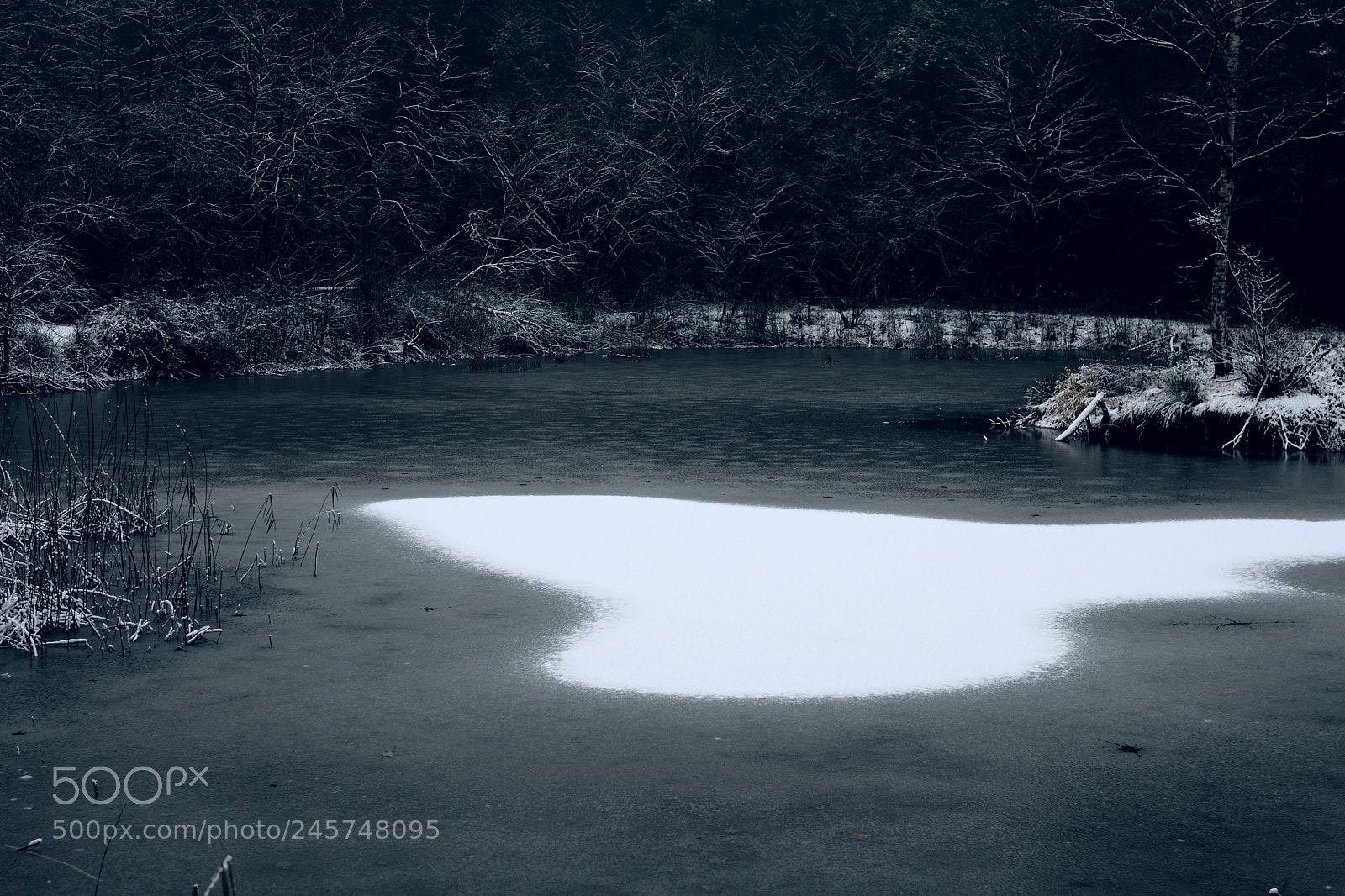 Nikon D7500 sample photo. At the dark lakeside photography