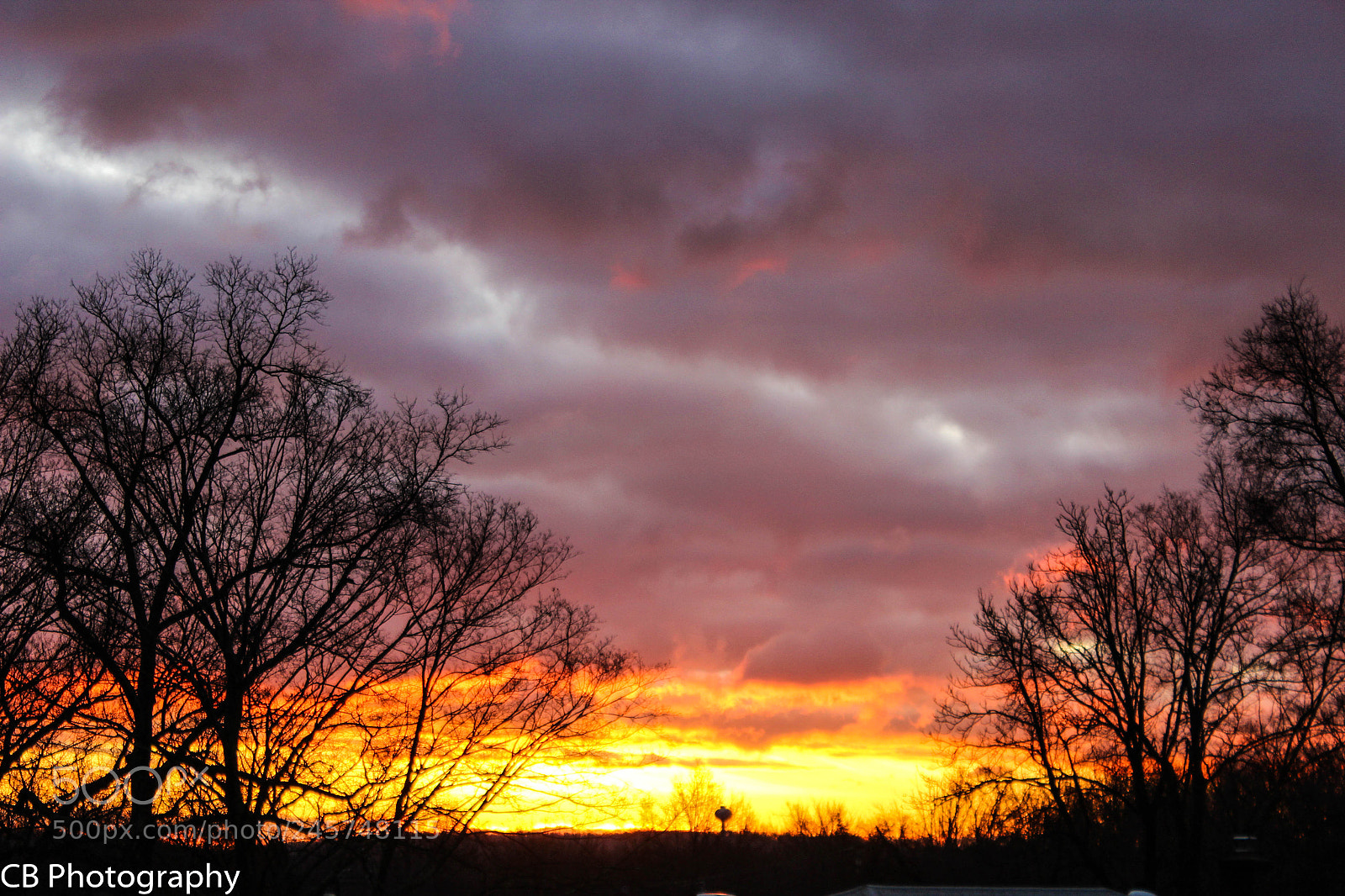 Canon EOS 600D (Rebel EOS T3i / EOS Kiss X5) sample photo. Nature's palette photography
