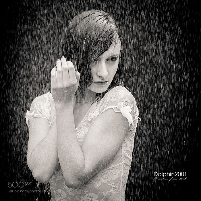 Nikon D700 sample photo. It's raining photography
