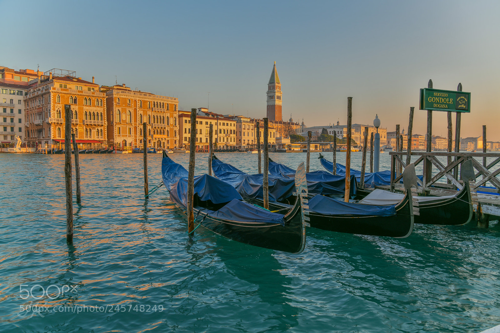 Nikon D850 sample photo. Venice gondola 05 photography