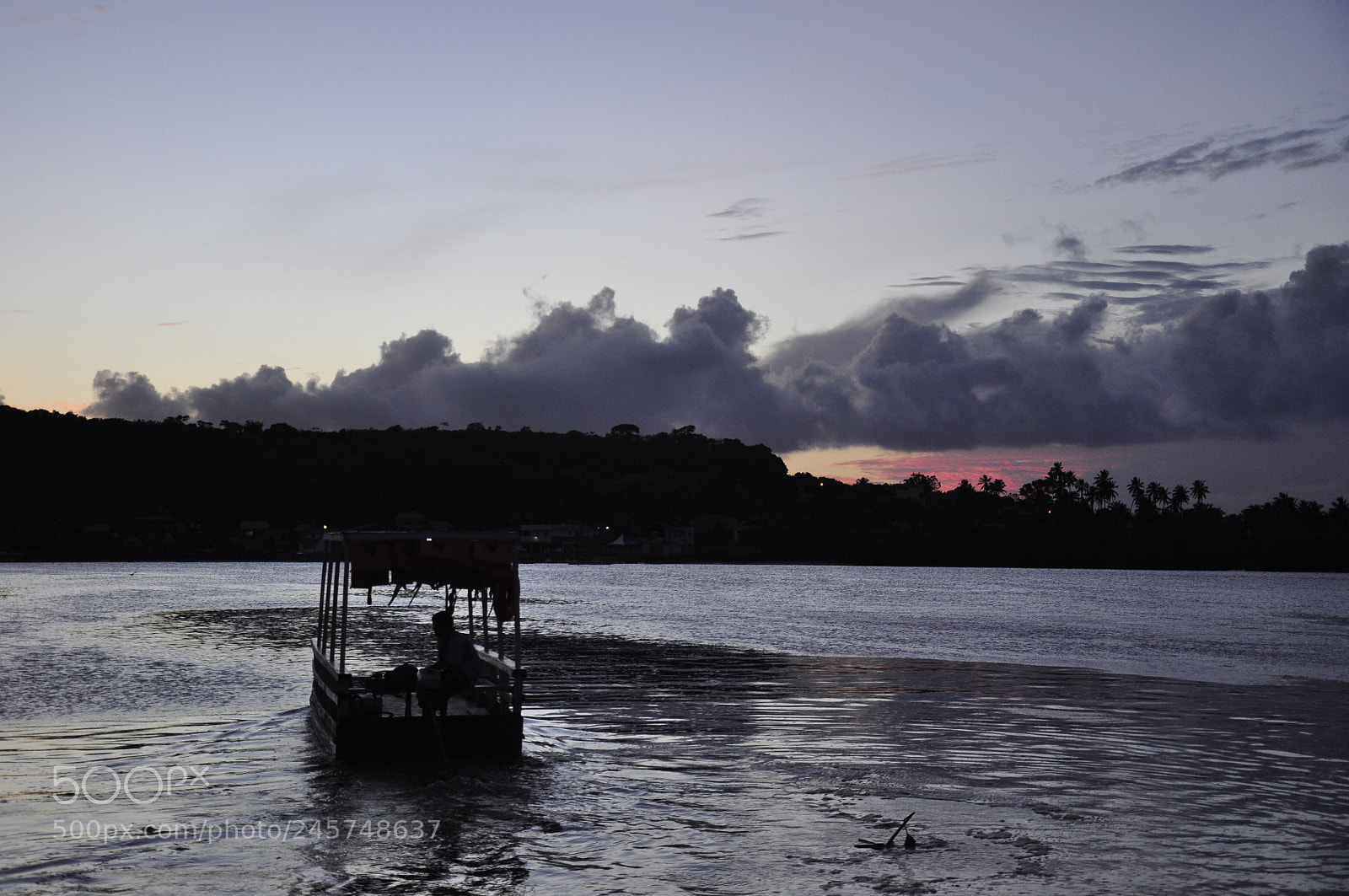Nikon D90 sample photo. Untitled photography