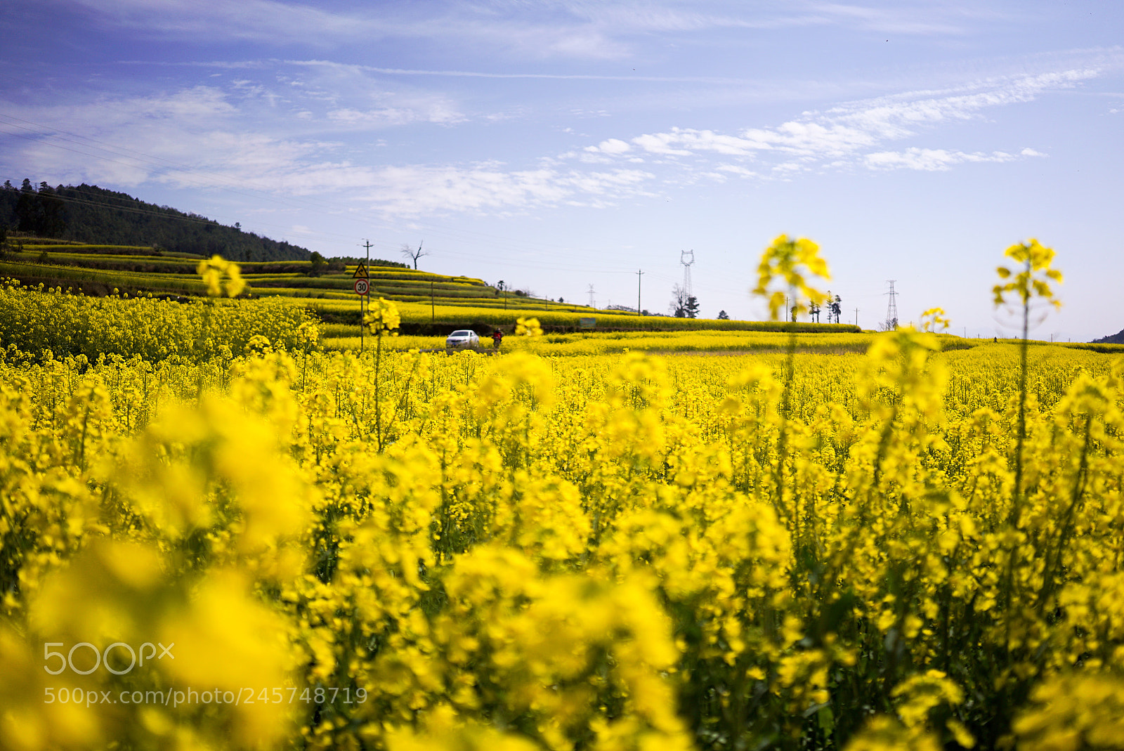 Sony a7S sample photo. 峨山花田 photography