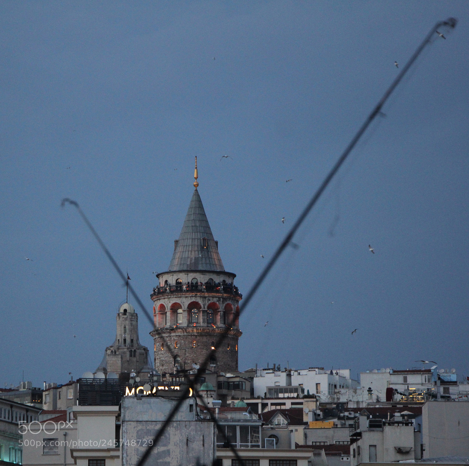 Canon EOS 60D sample photo. Untitled photography