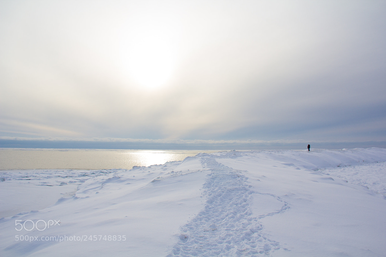 Canon EOS 60D sample photo. Frozen tundra photography