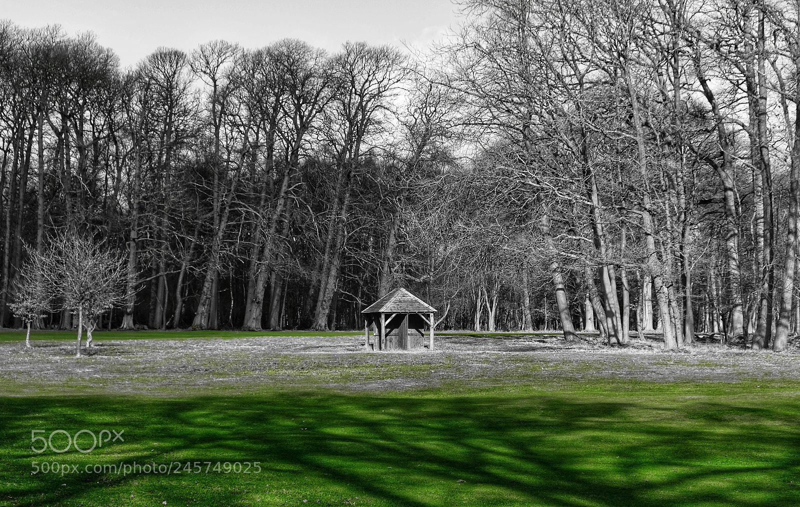 Fujifilm X-T20 sample photo. A hut in the photography