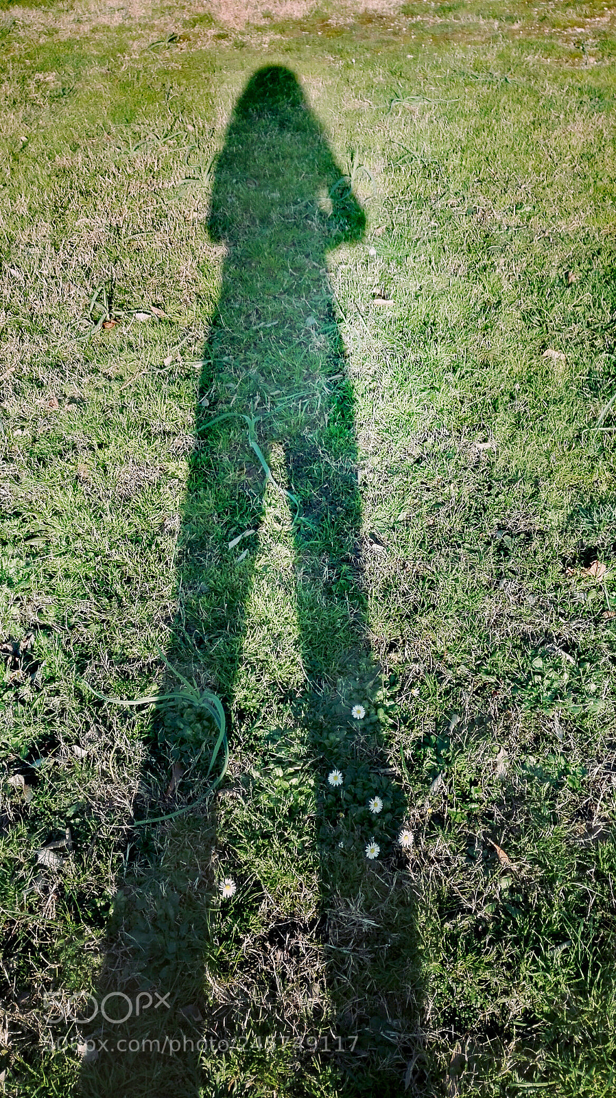 HUAWEI P8 Lite sample photo. Untitled photography