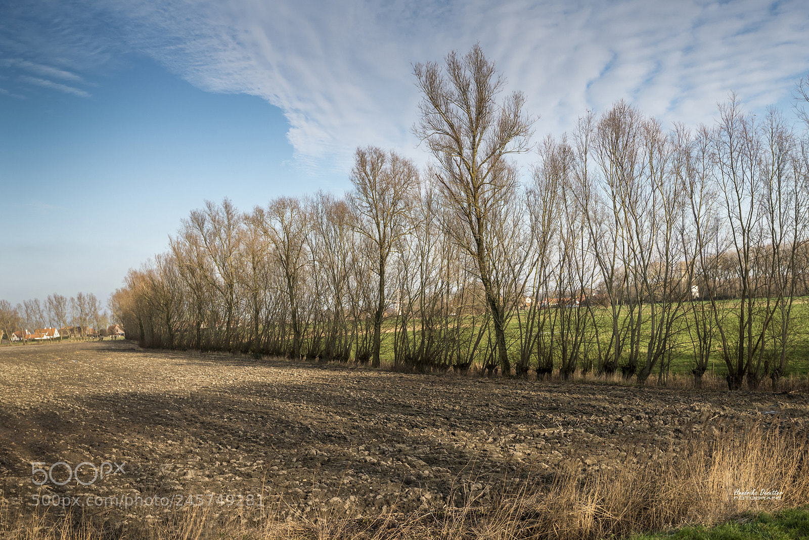 Nikon D800 sample photo. Rural view oostkerke, west photography