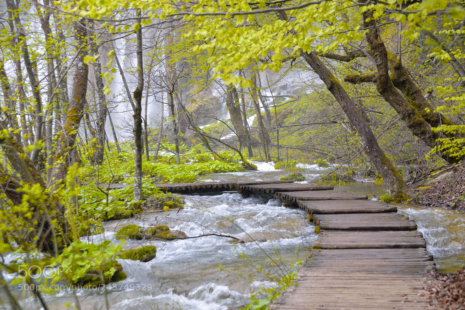 Nikon D610 sample photo. Plitvice park photography