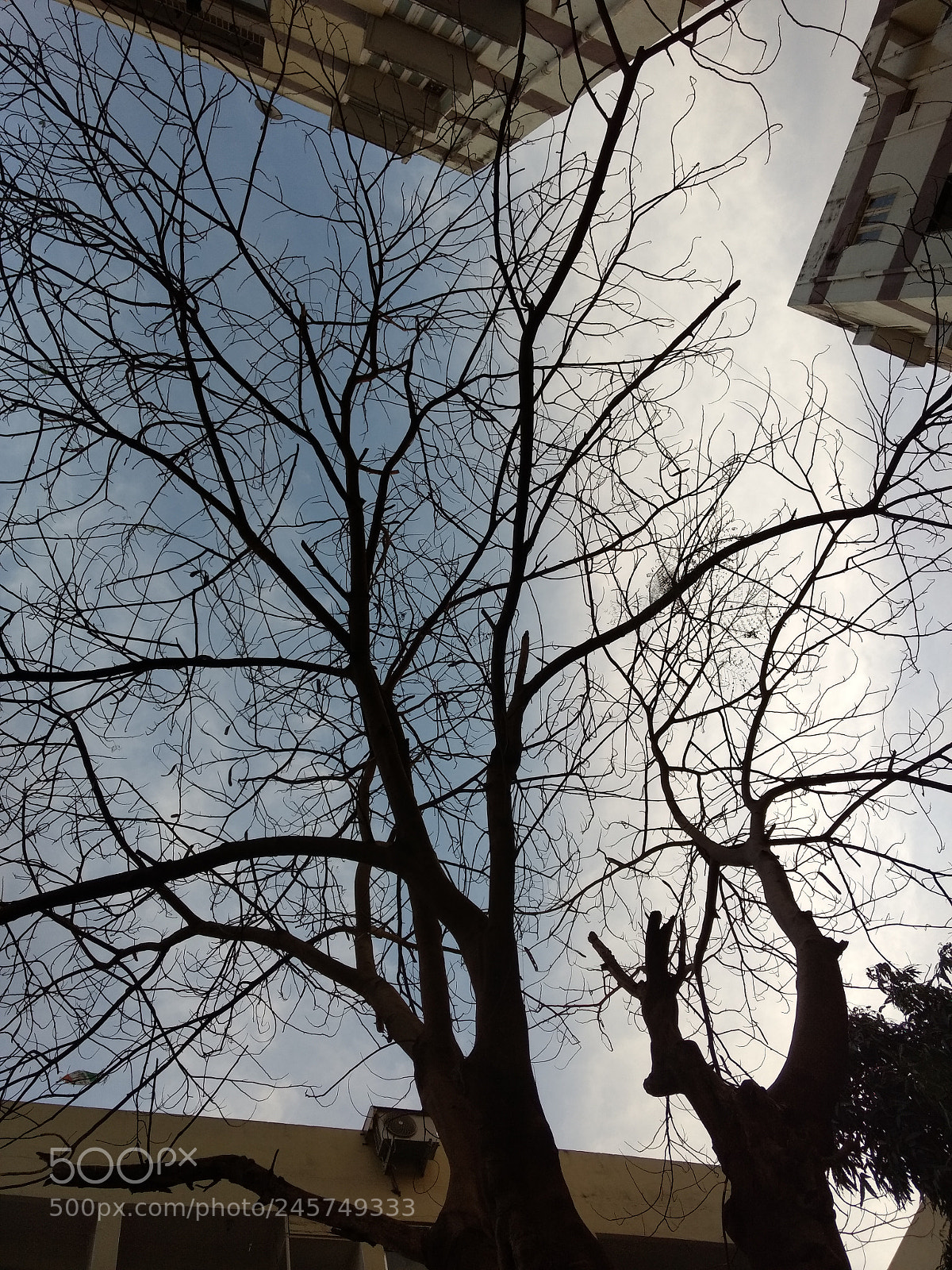 Motorola Moto G (4) sample photo. Untitled photography