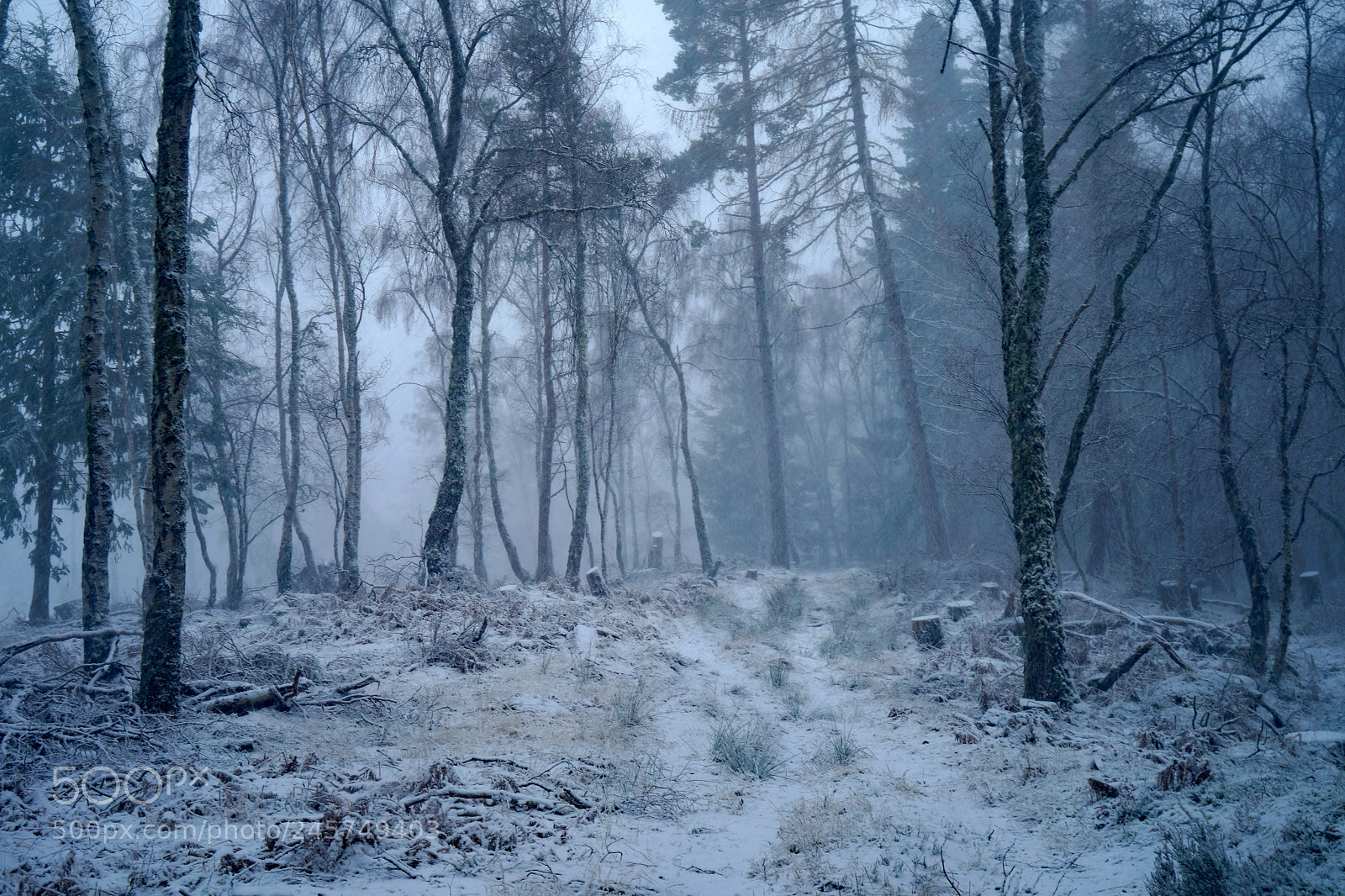 Sony a7 sample photo. Snowy sunday, fairburn, scottish photography