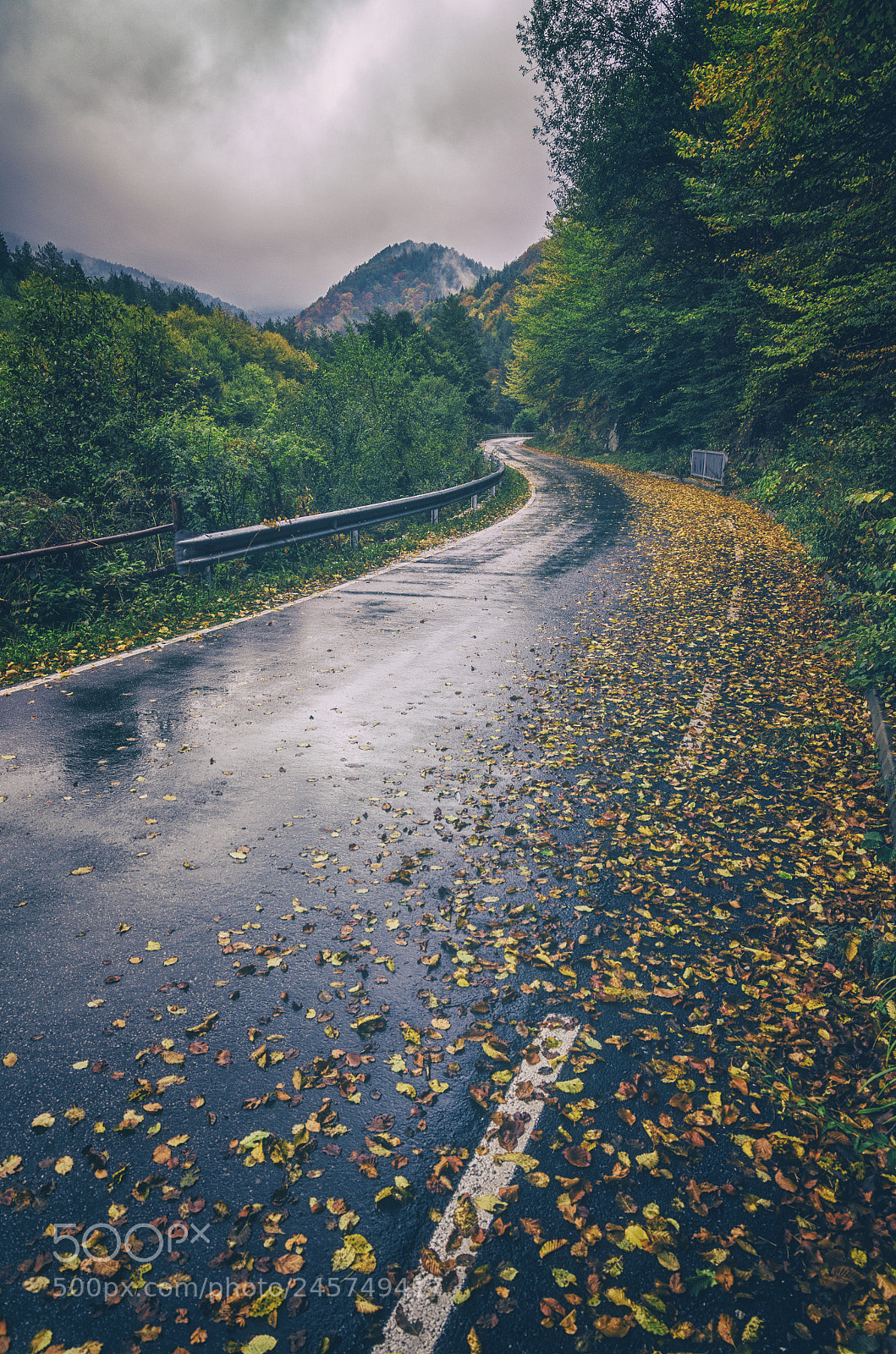 Nikon D5100 sample photo. *** photography