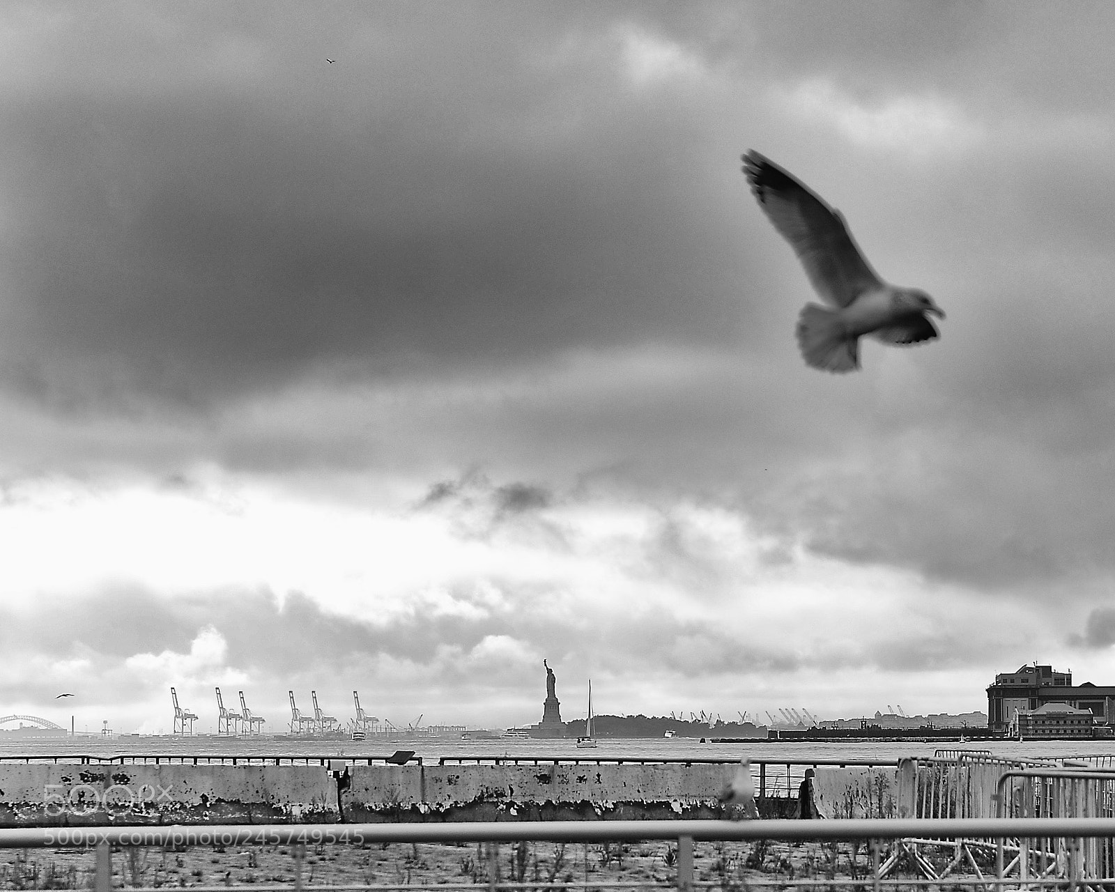 Nikon D700 sample photo. Give me liberty photography