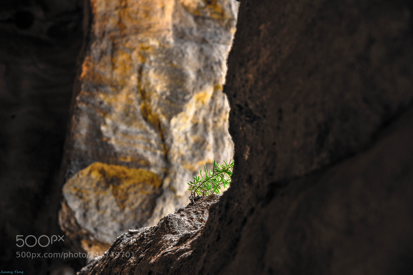 Nikon D700 sample photo. Datong photography