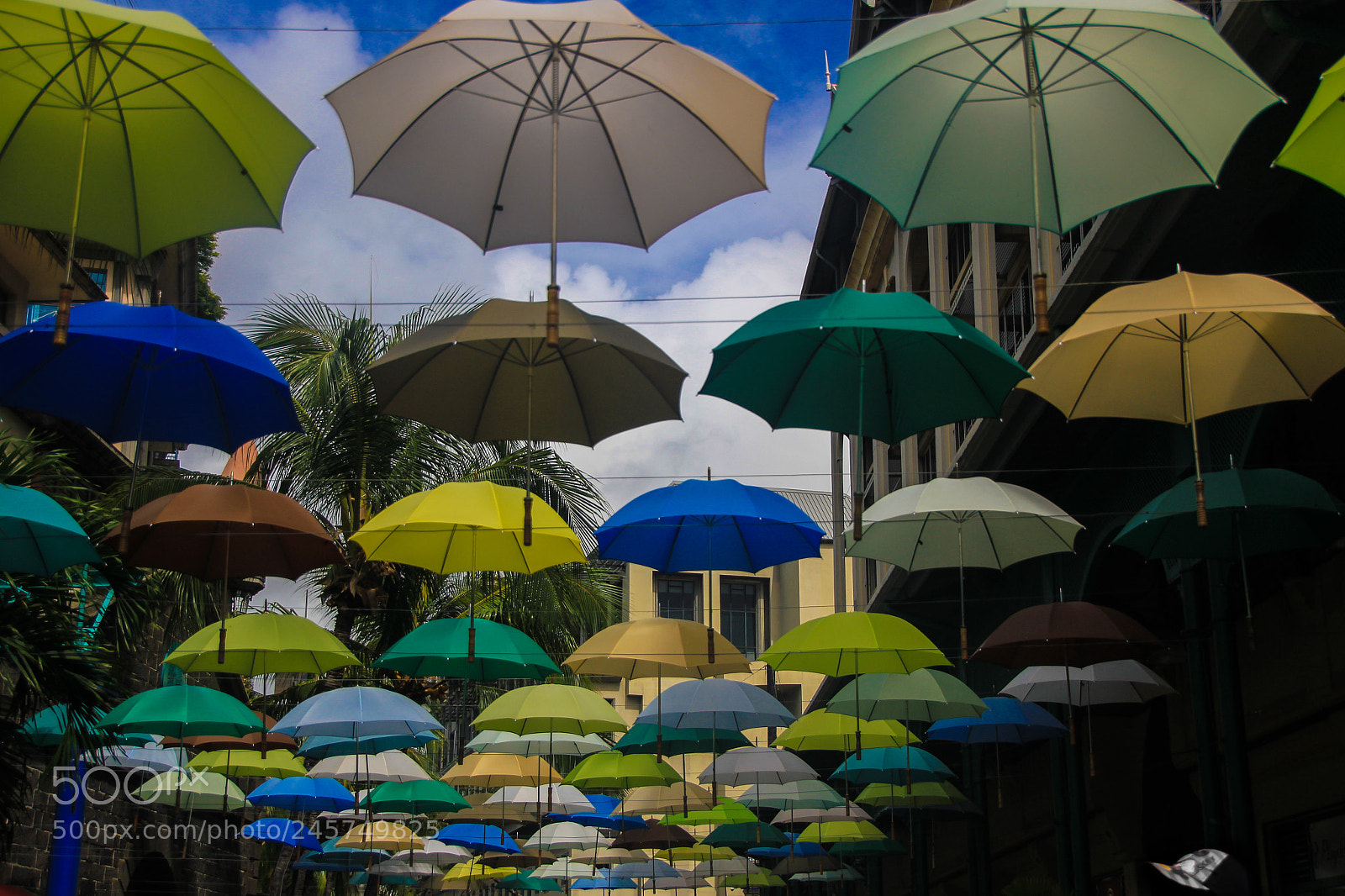 Canon EOS 550D (EOS Rebel T2i / EOS Kiss X4) sample photo. Umbrellas photography
