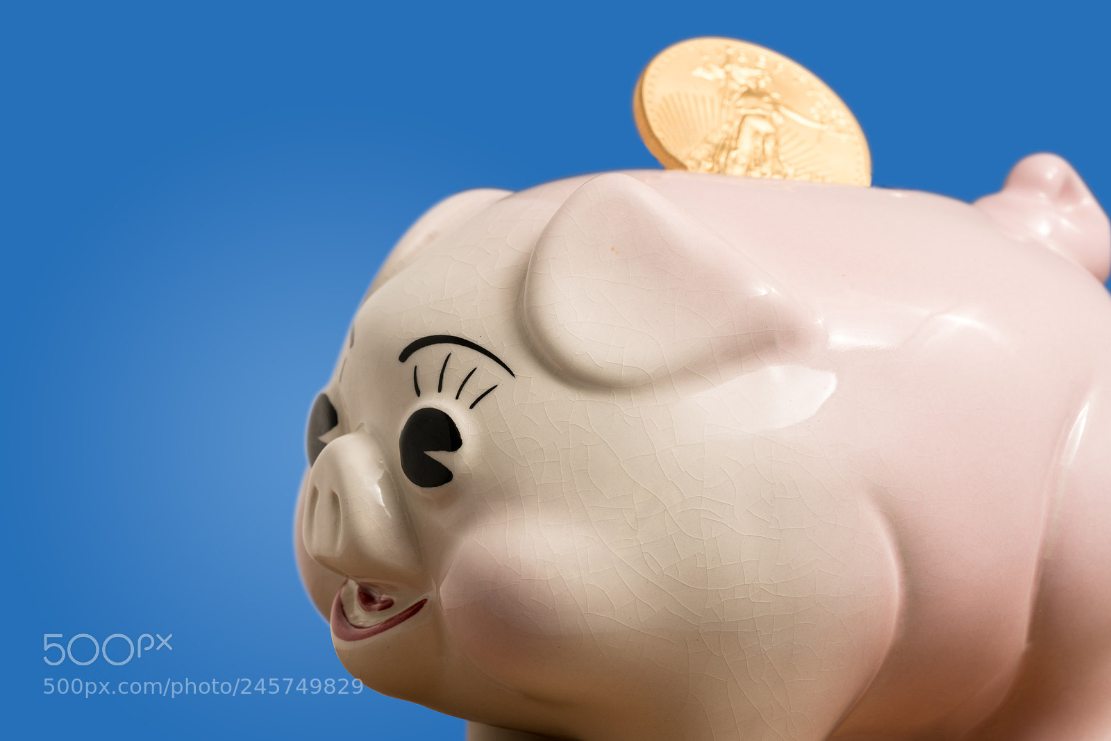 Sony a7R II sample photo. Single gold coin being photography