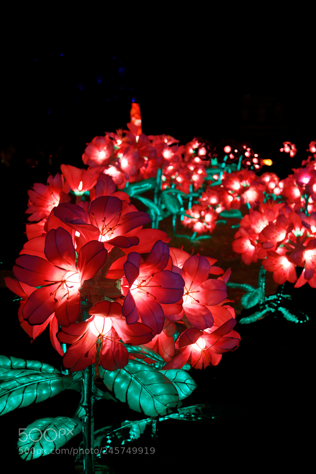 Canon EOS 6D + Canon EF 24-105mm F4L IS USM sample photo. Chinese lanterns festival photography
