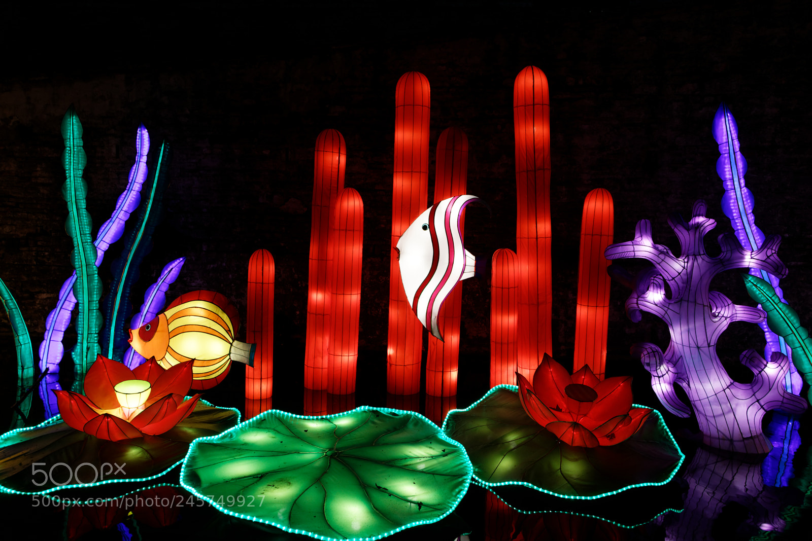 Canon EOS 6D + Canon EF 24-105mm F4L IS USM sample photo. Chinese lanterns festival photography
