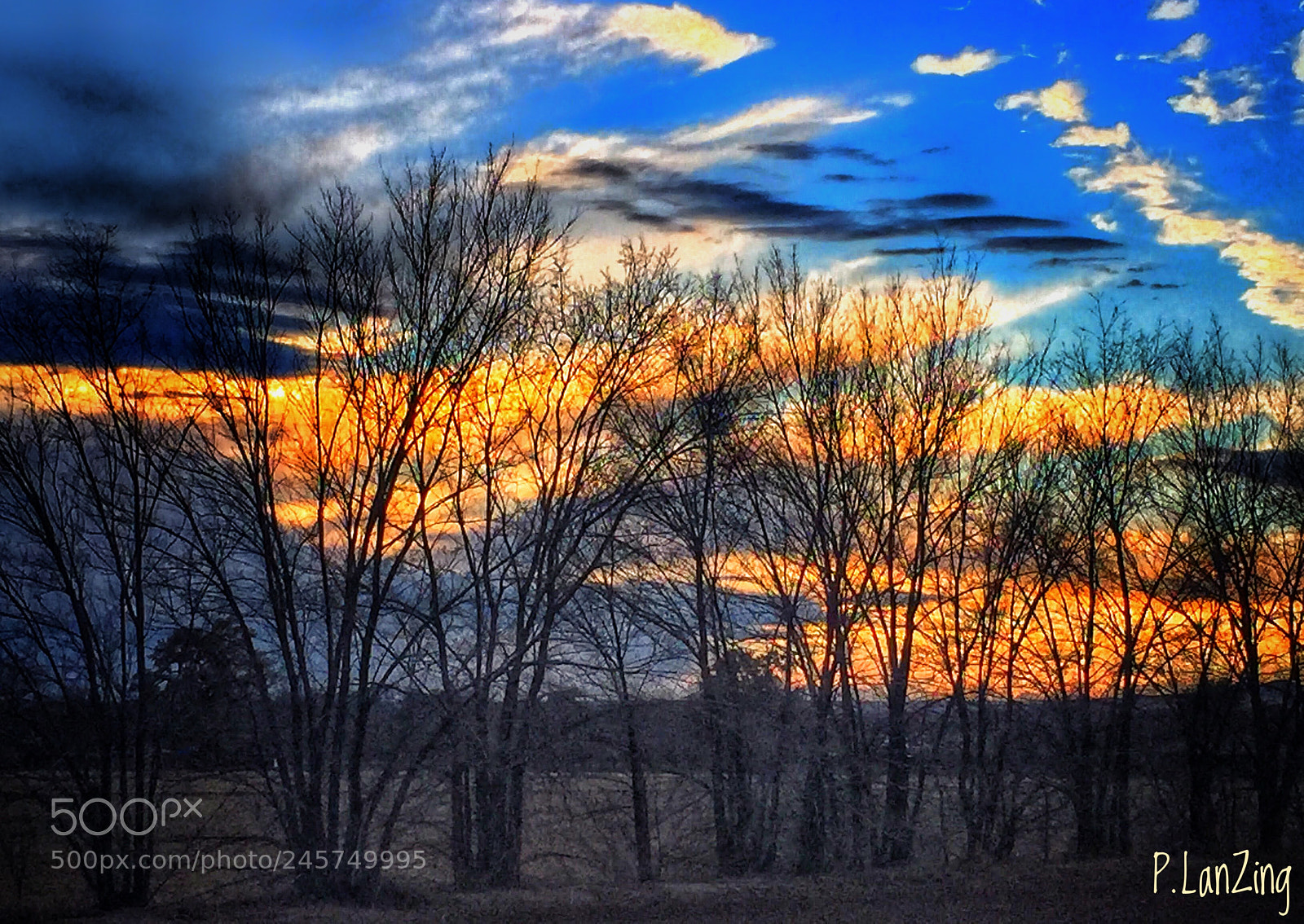 Apple iPhone 6 sample photo. Sunset trees, new mexico photography
