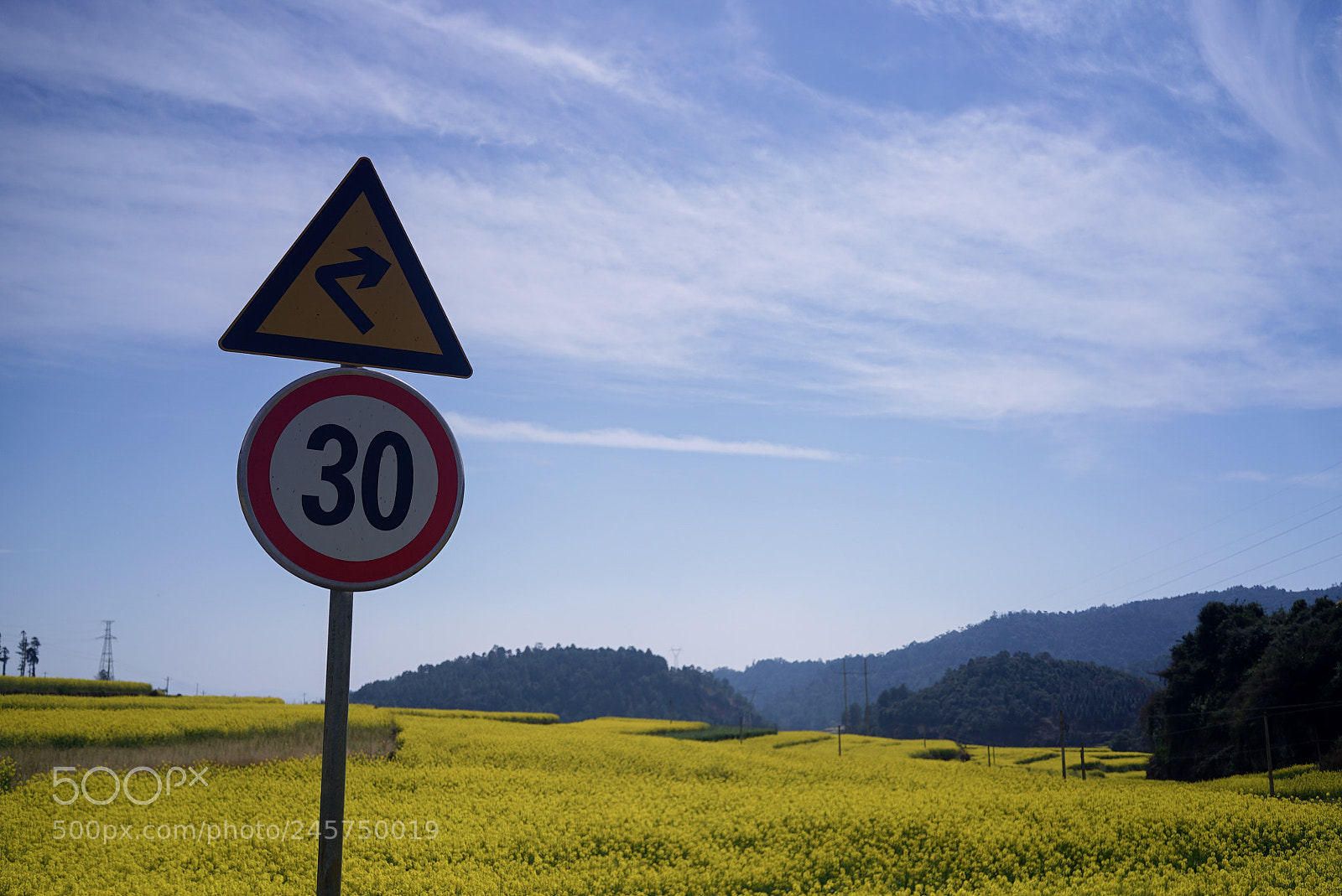 Sony a7S sample photo. 峨山花田 photography