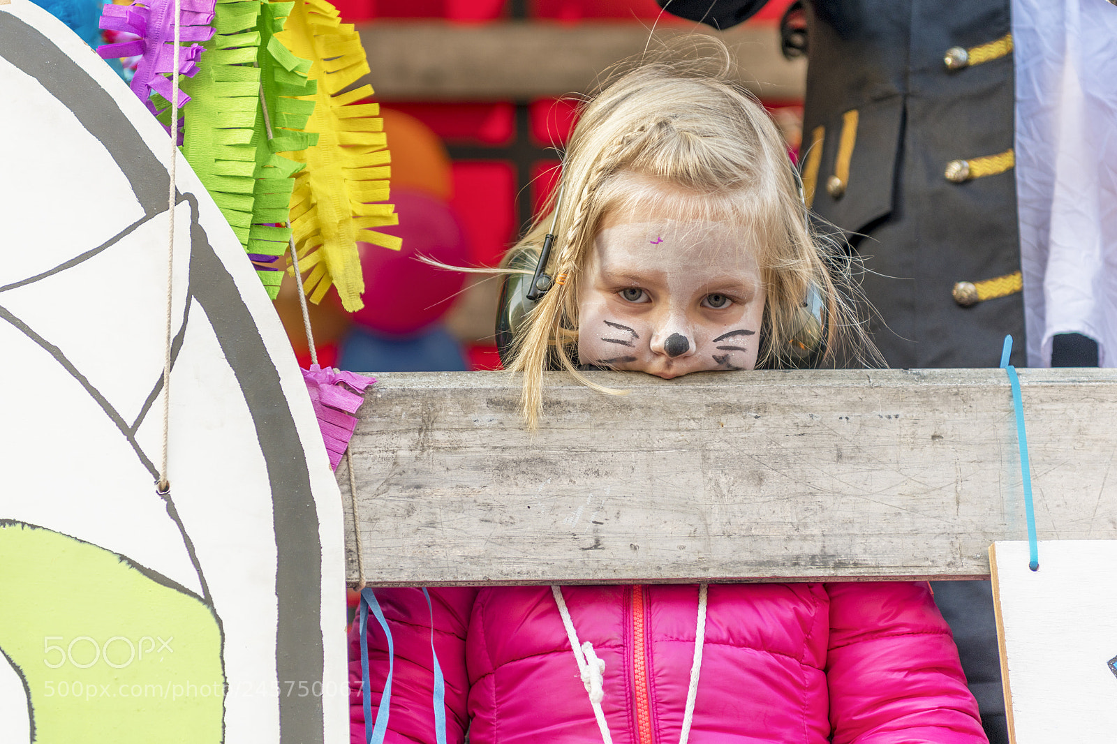 Nikon D850 sample photo. Carnaval at roosendaal 8 photography