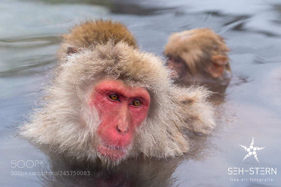 Canon EOS 7D Mark II sample photo. Bathing photography