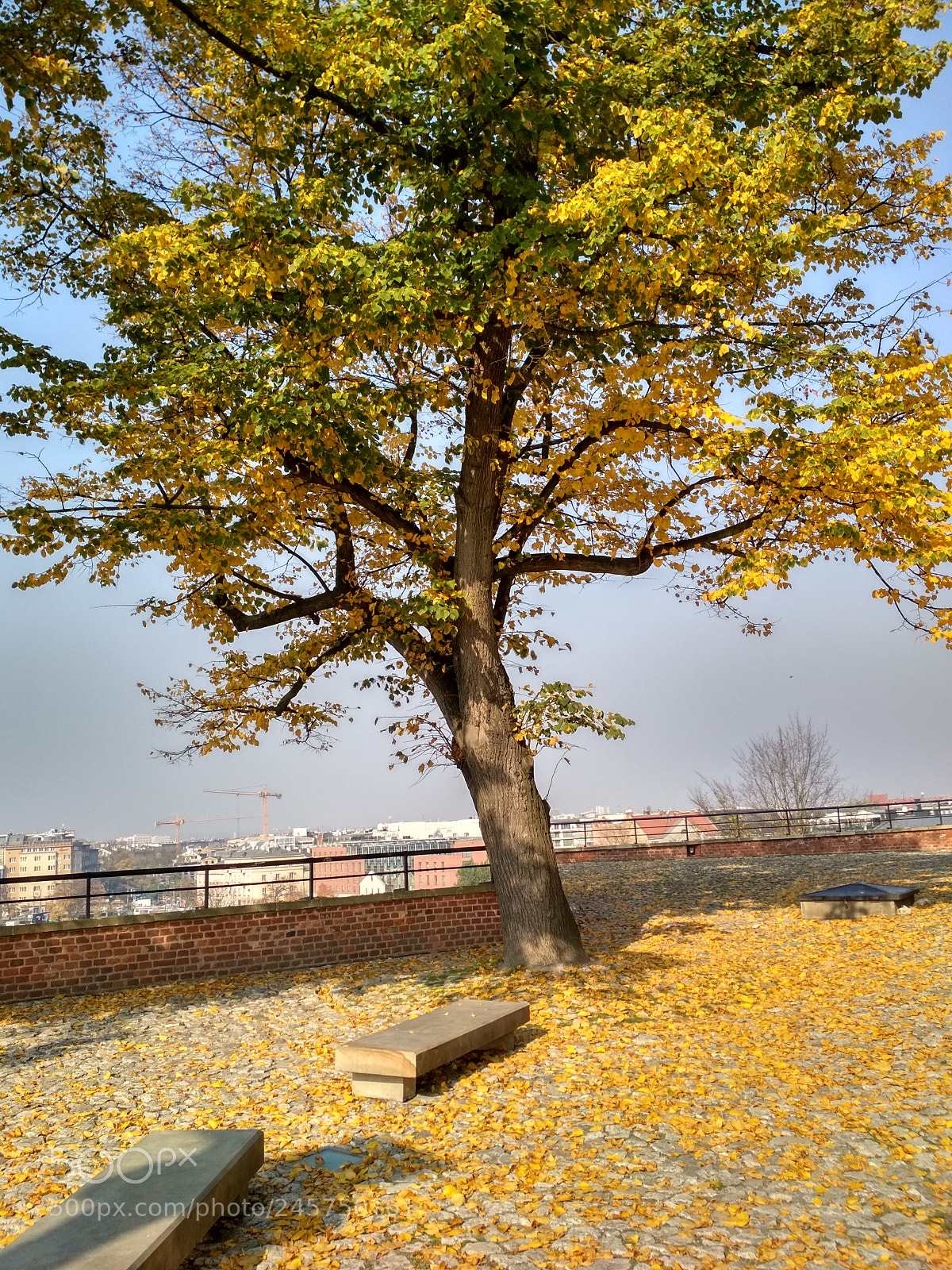 Xiaomi Redmi 4X sample photo. Hdr photography