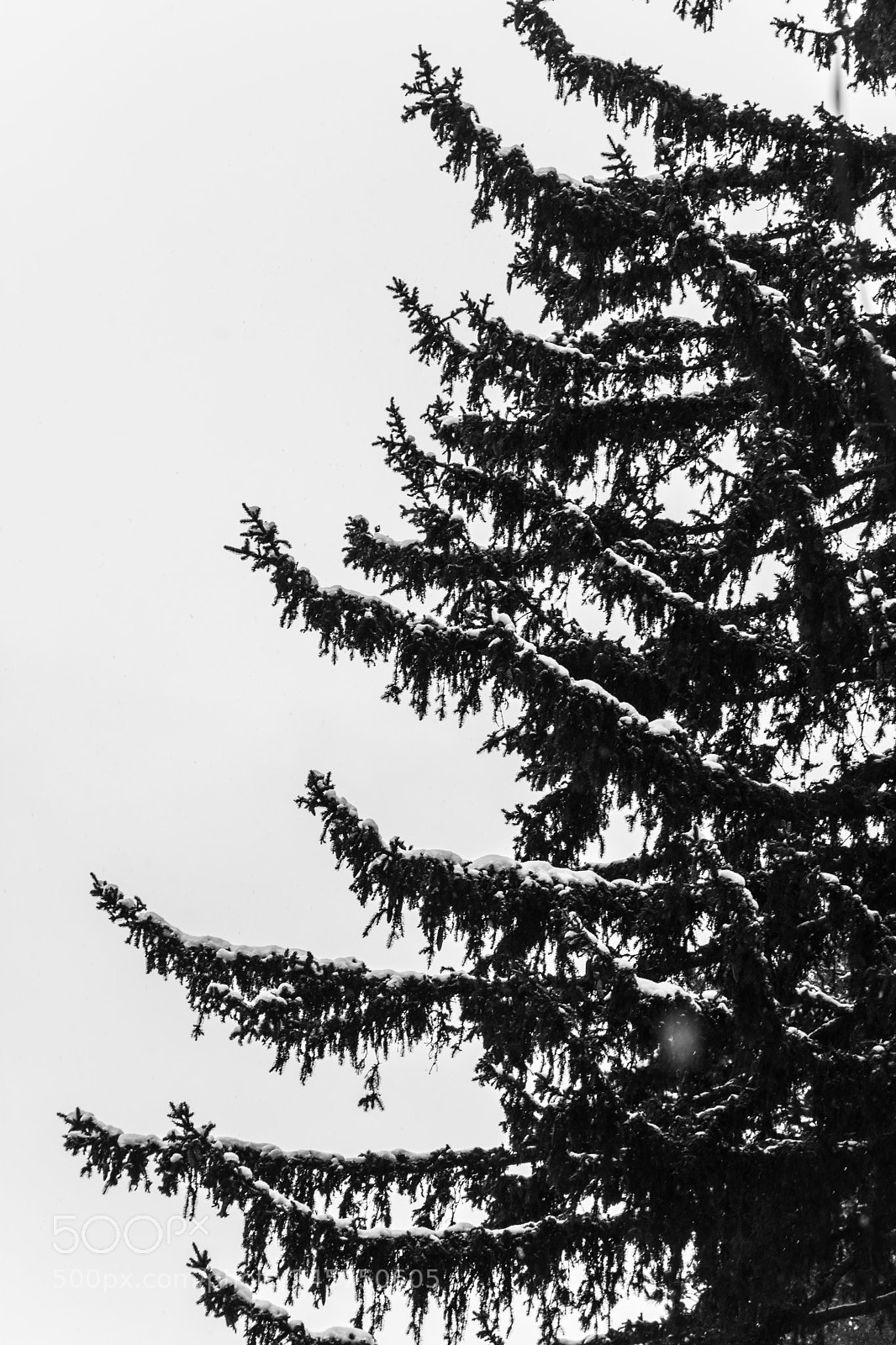 Nikon D7200 sample photo. The higher we go... photography