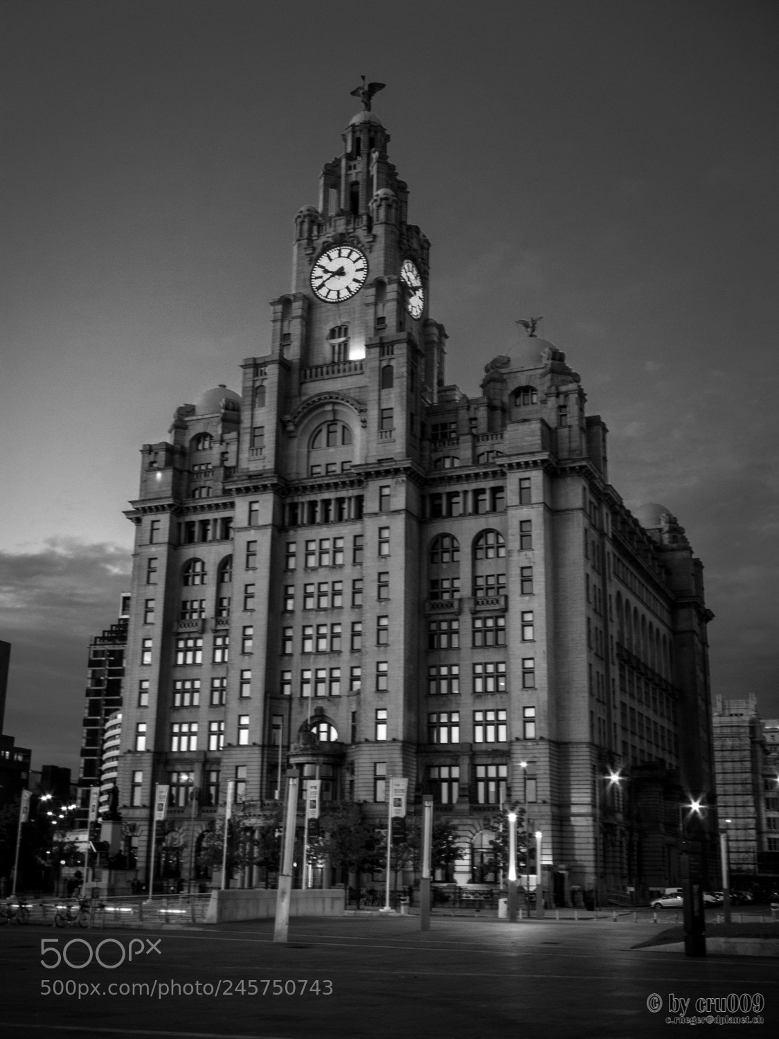 Nikon Coolpix P7000 sample photo. Liverpool - royal liver photography