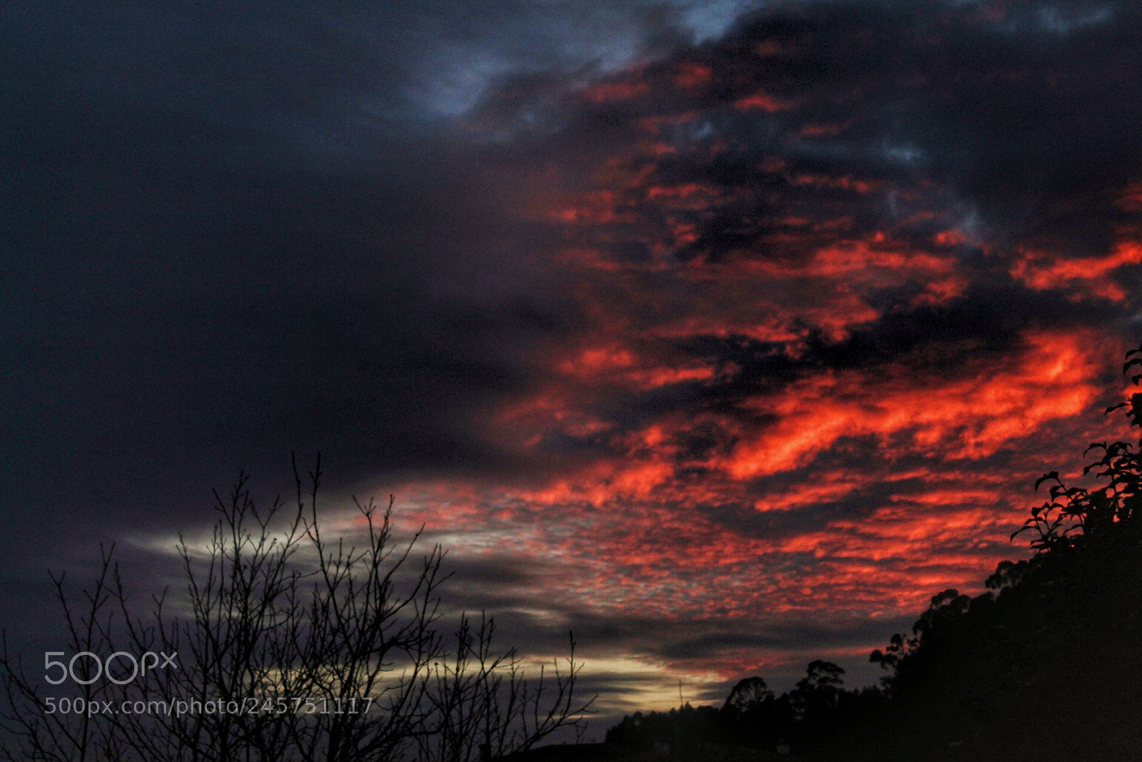Canon EOS 1300D (EOS Rebel T6 / EOS Kiss X80) sample photo. Red sky photography