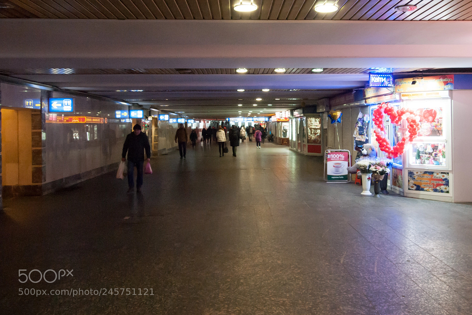 Olympus PEN E-P1 sample photo. Undercrossing photography