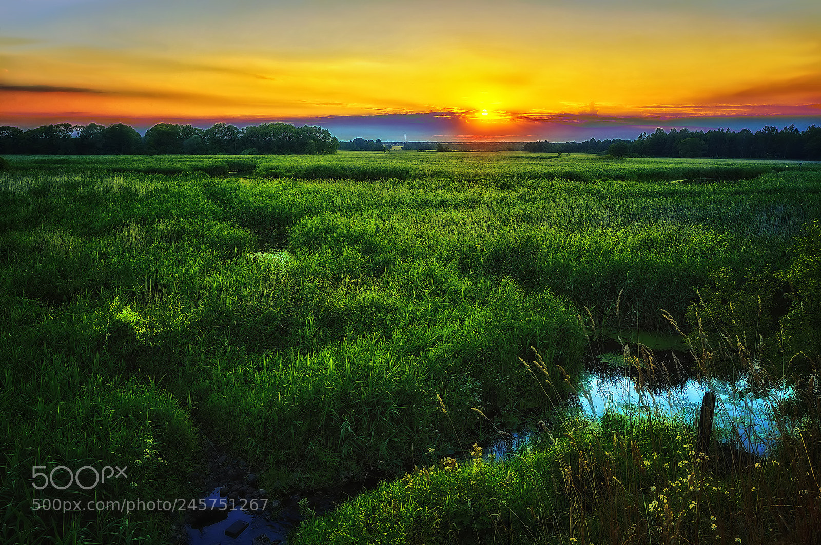 Sony Alpha NEX-5T sample photo. Summer sunset photography