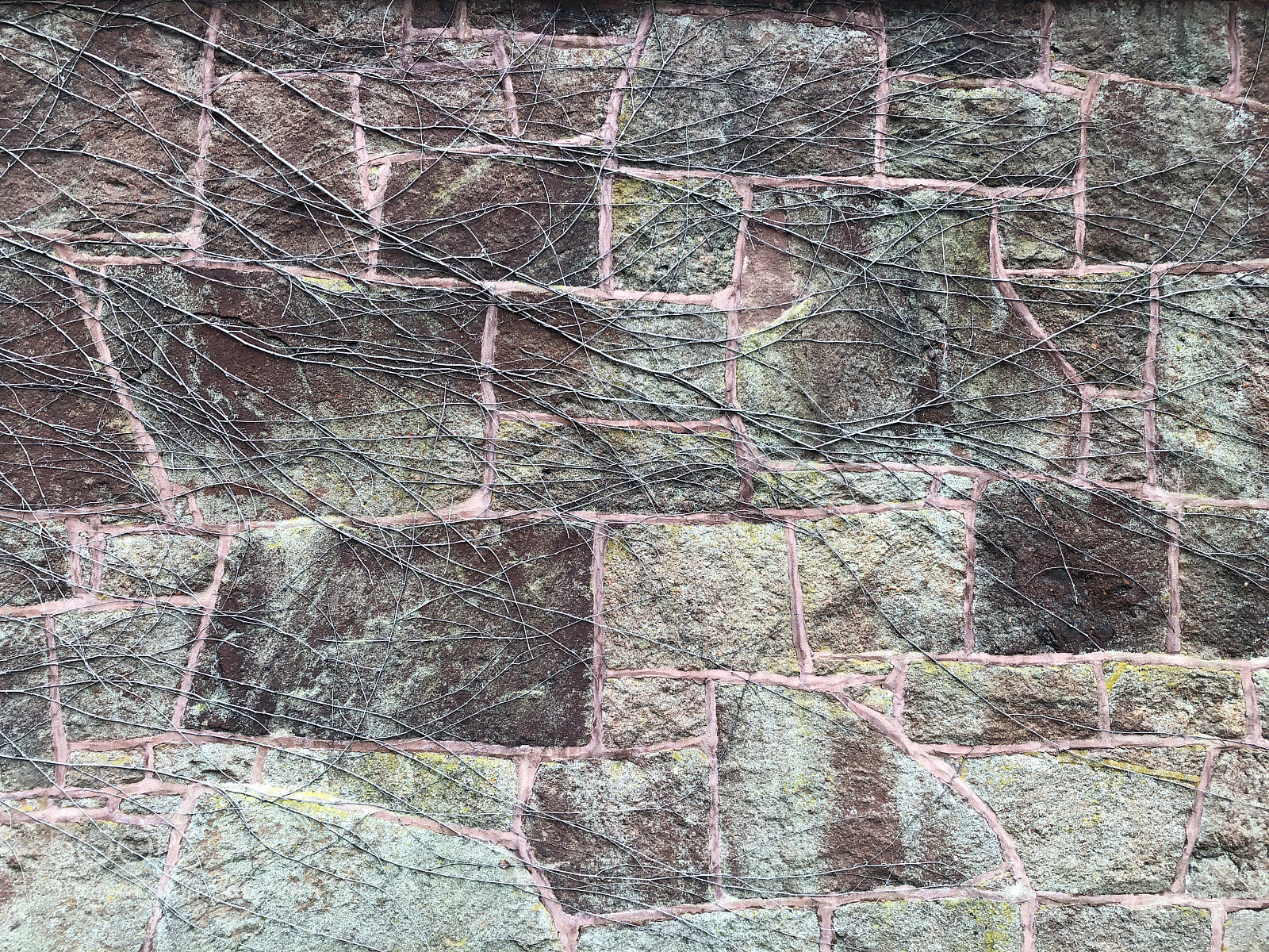 Apple iPhone 8 Plus sample photo. Wall, yale campus, new photography