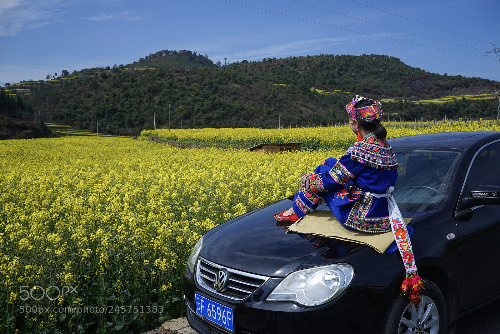 Sony a7S sample photo. 峨山花田 photography