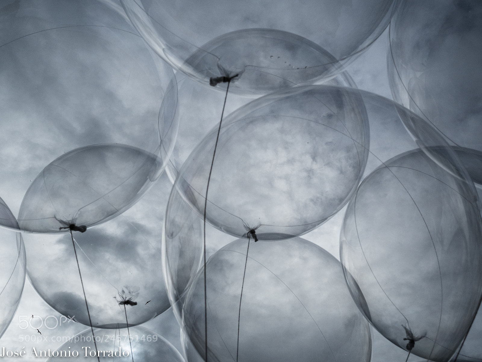 Olympus OM-D E-M5 II sample photo. Globos photography