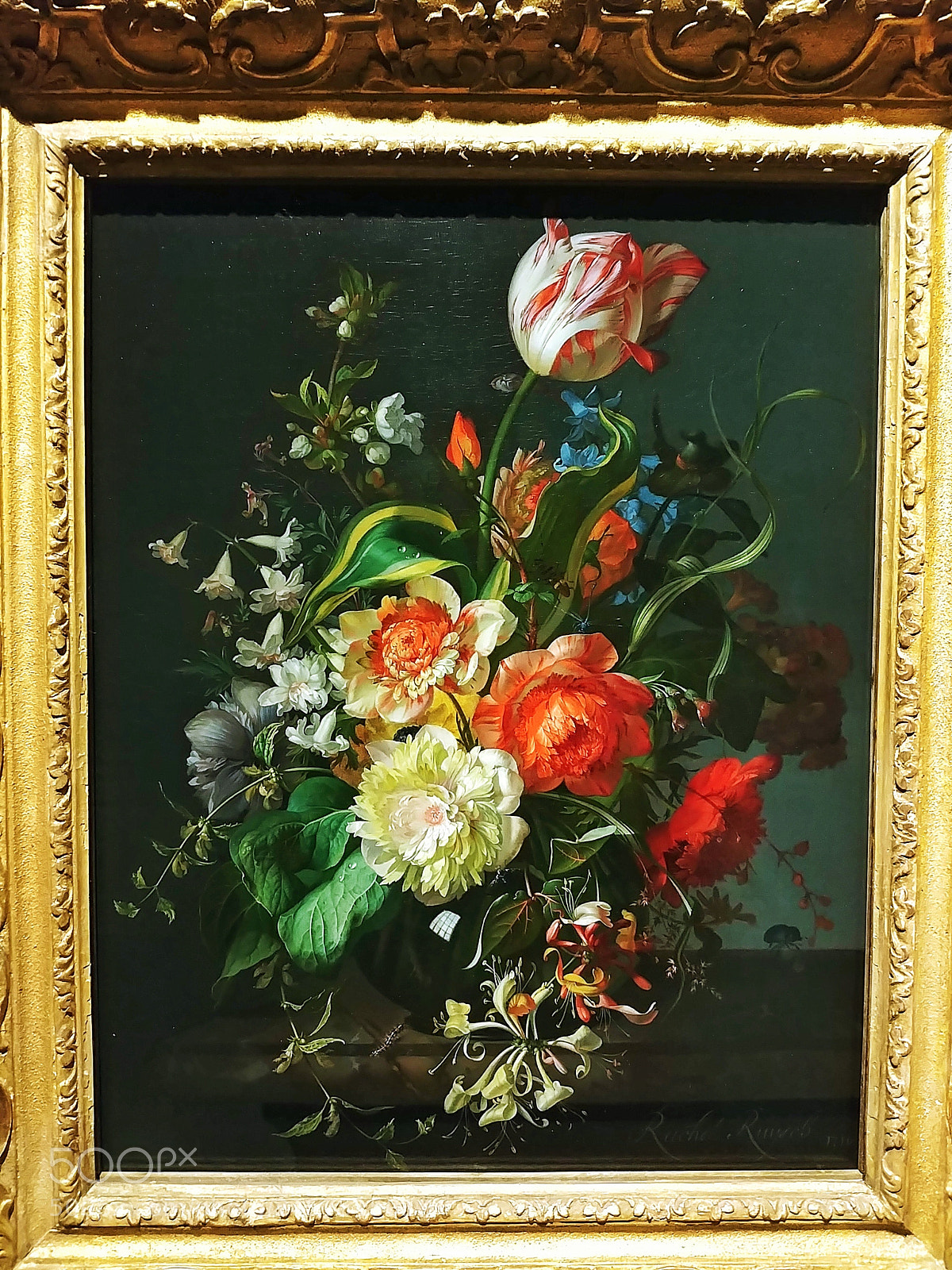 LG G6 sample photo. Flowers framed photography