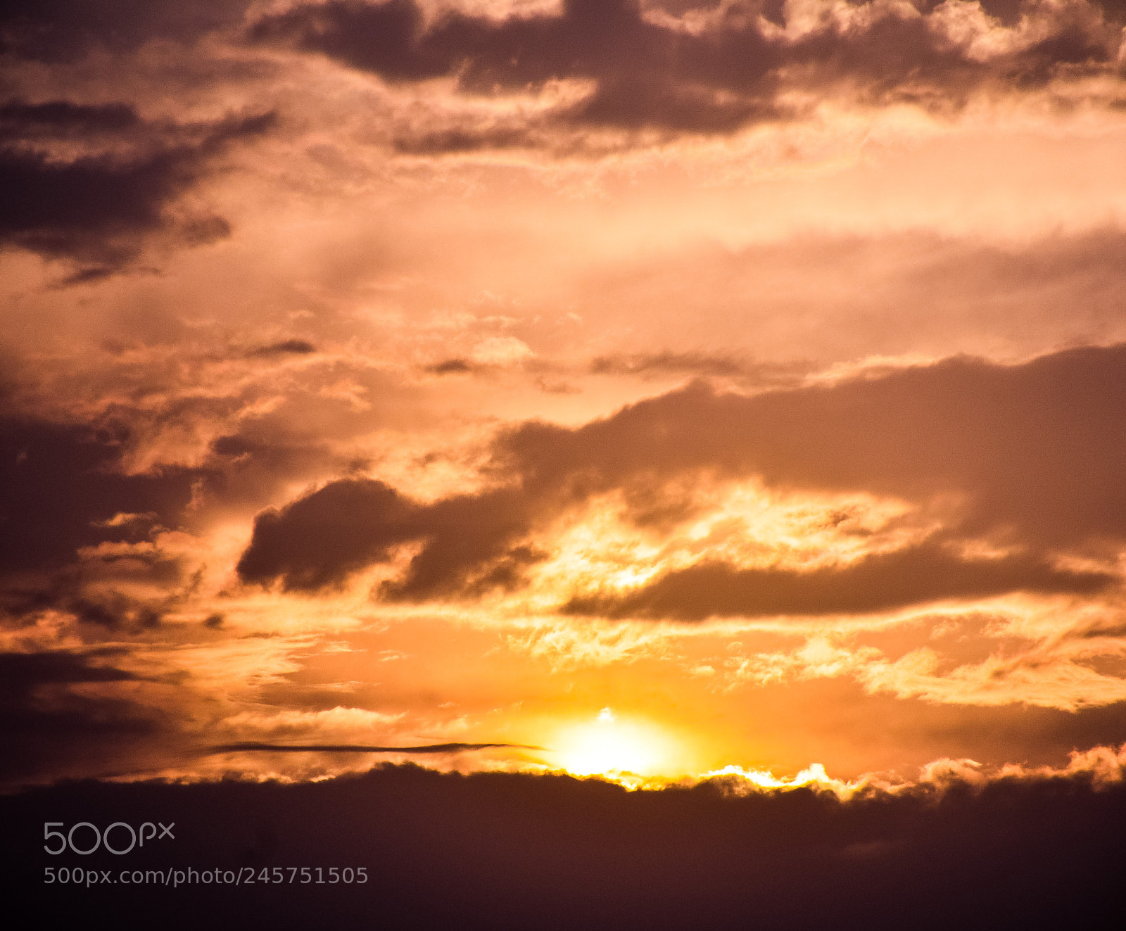 Nikon D5100 sample photo. The morning sky photography