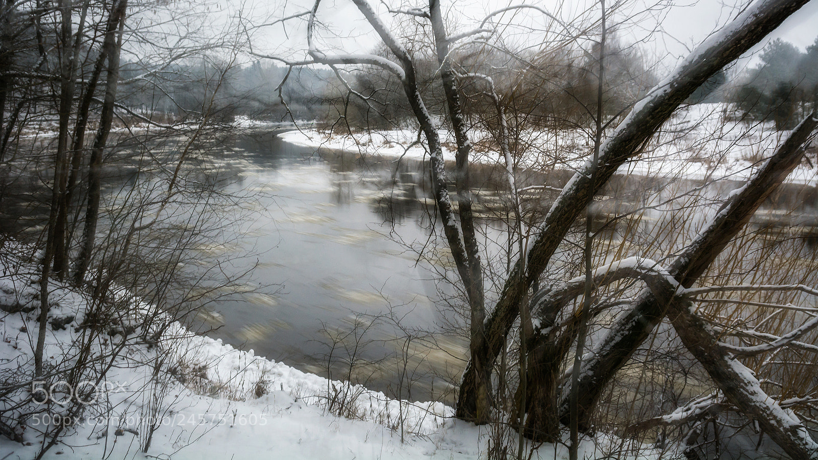 Nikon D7100 sample photo. Winter magic photography