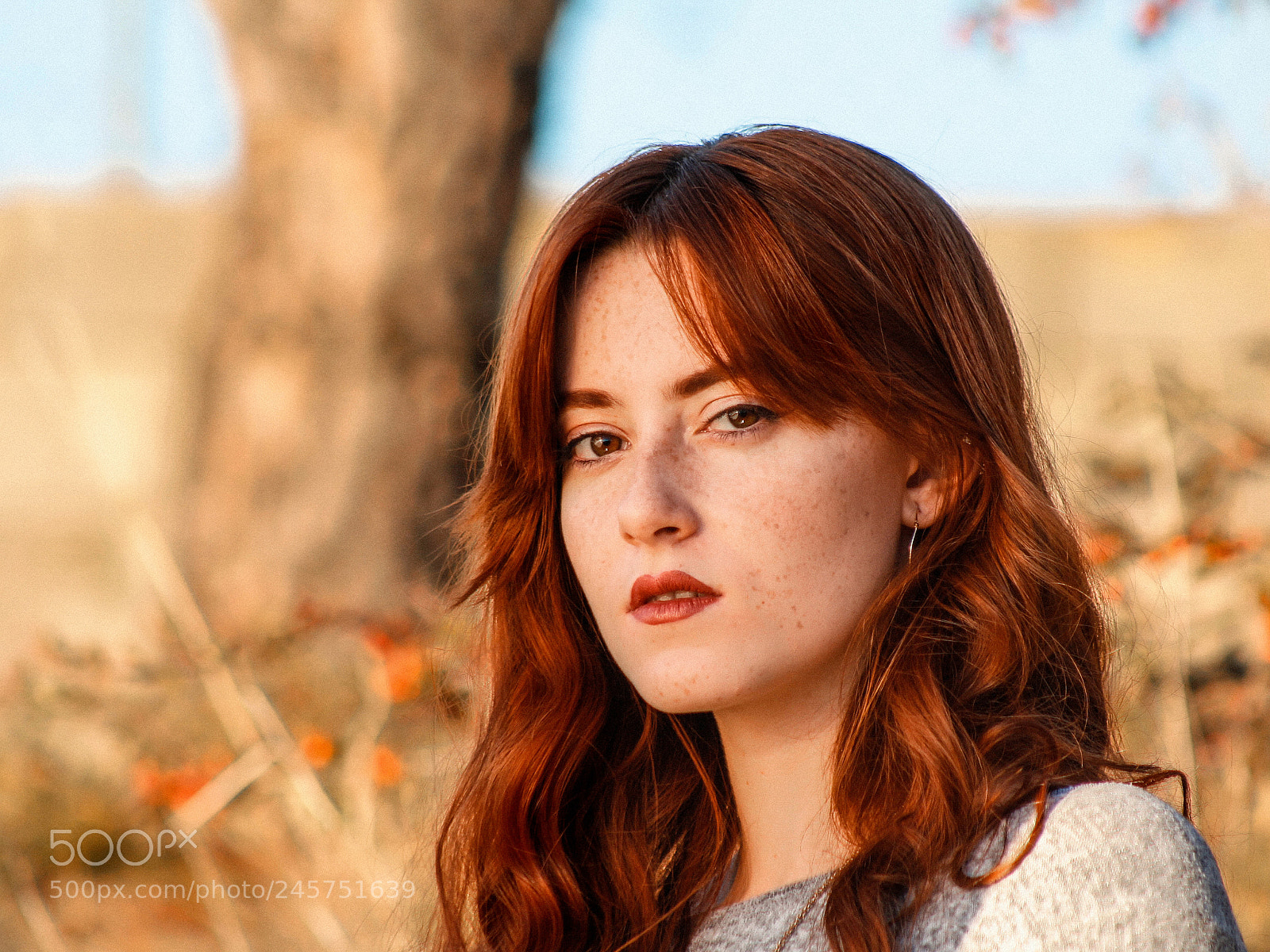 Canon EOS 700D (EOS Rebel T5i / EOS Kiss X7i) sample photo. Judith photography