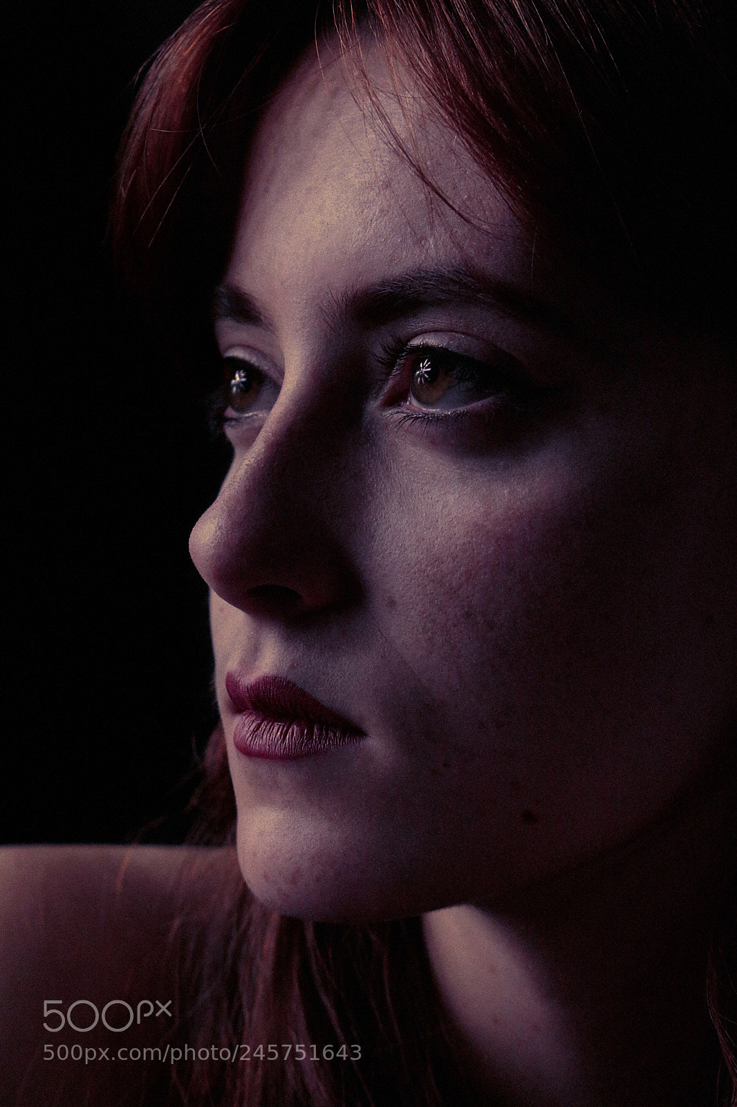 Canon EOS 700D (EOS Rebel T5i / EOS Kiss X7i) sample photo. Judith photography