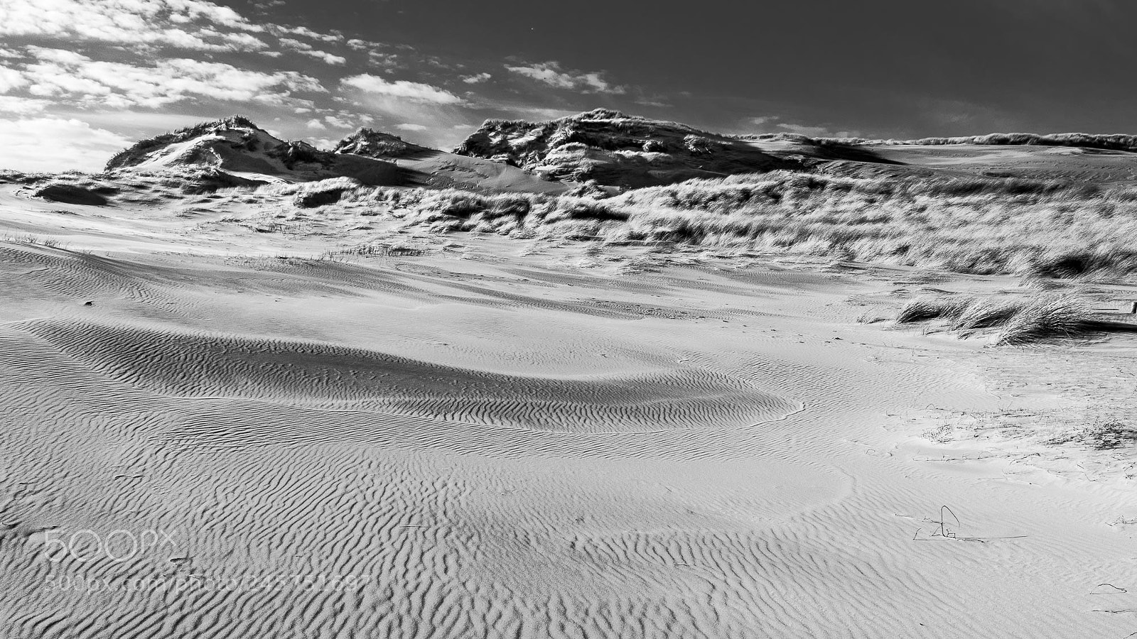 Olympus OM-D E-M5 II sample photo. Sand & sky photography