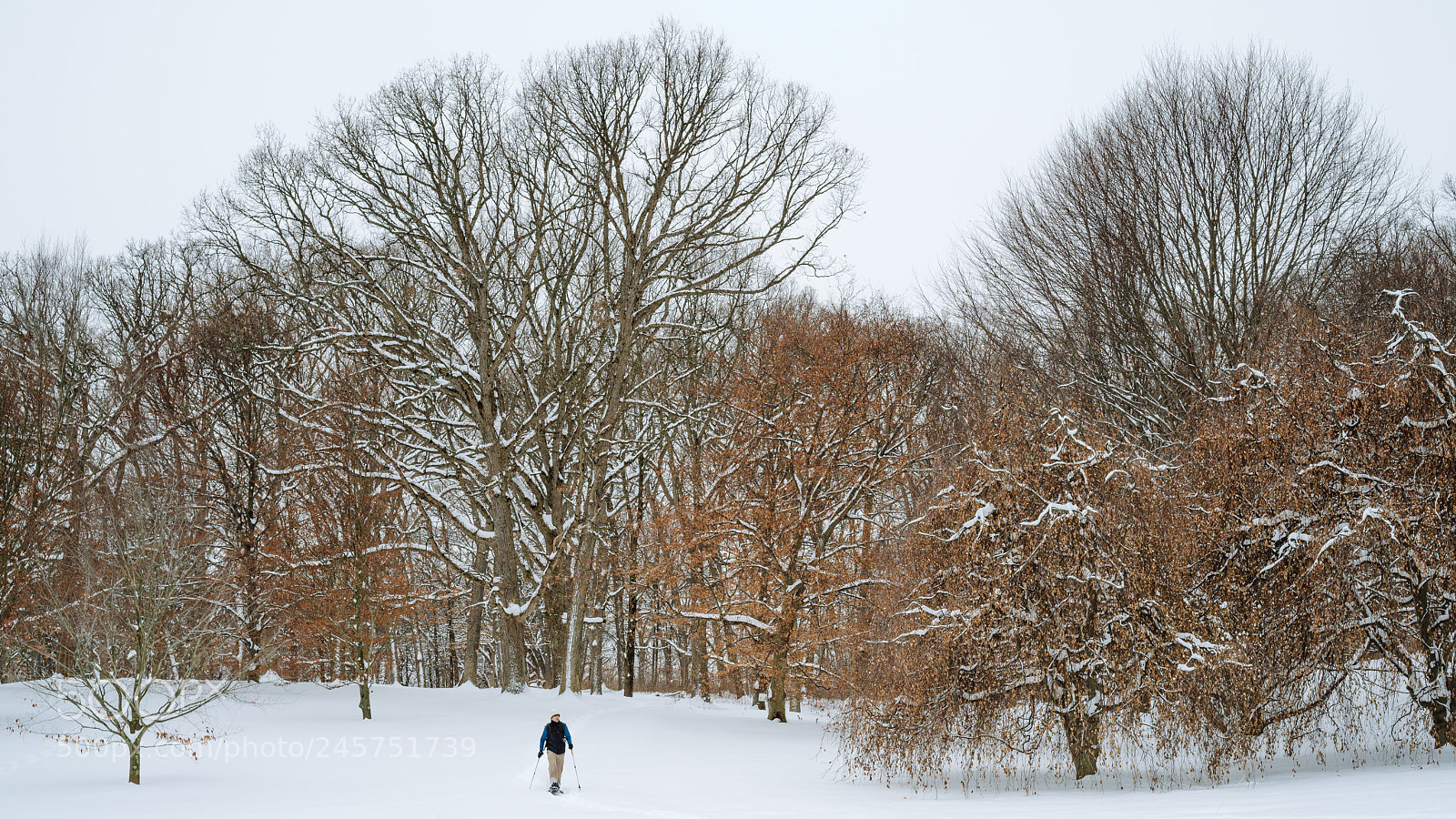 Sony a7R II sample photo. _dsc6934.jpg photography