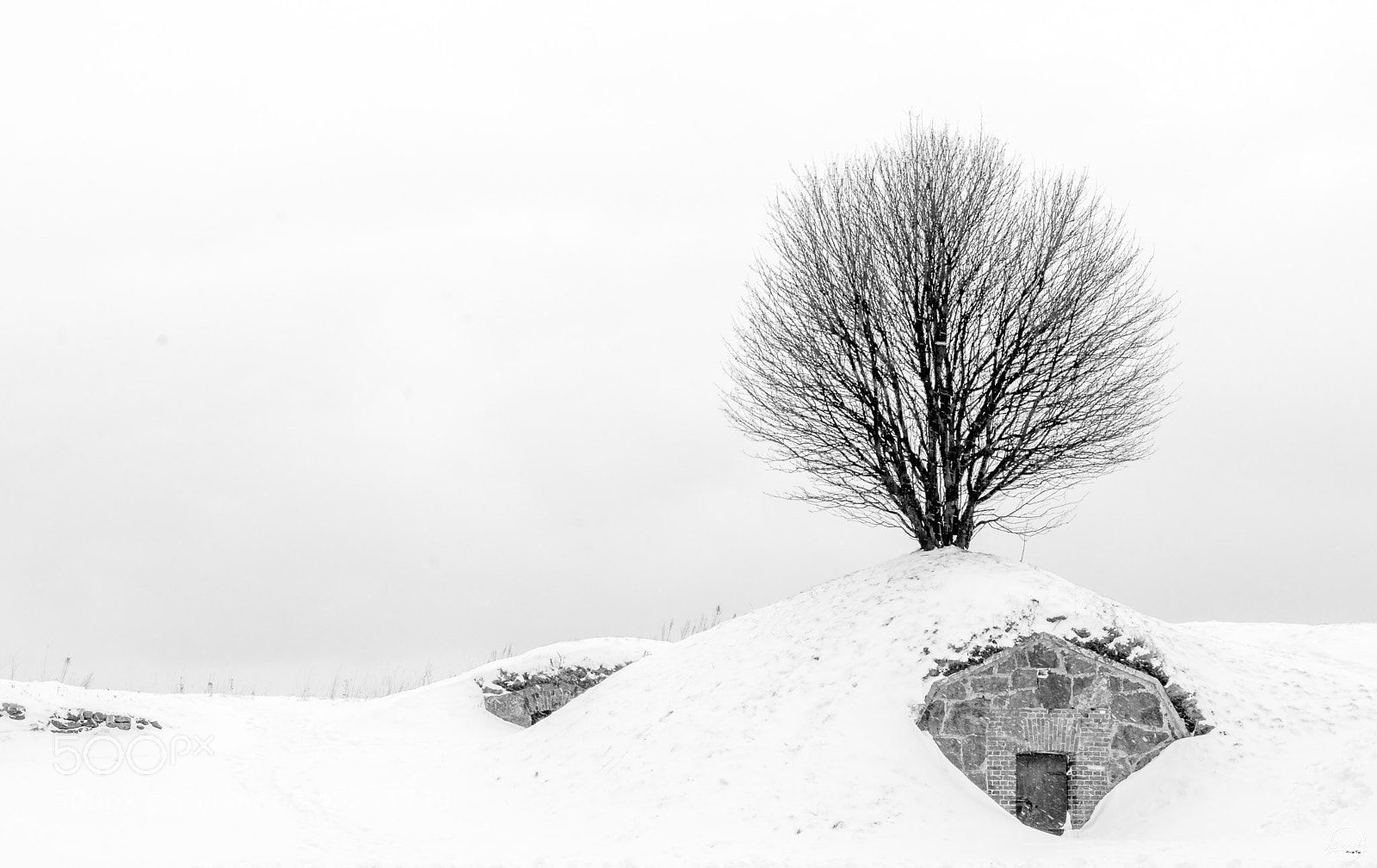 Nikon D7200 sample photo. Lonely photography