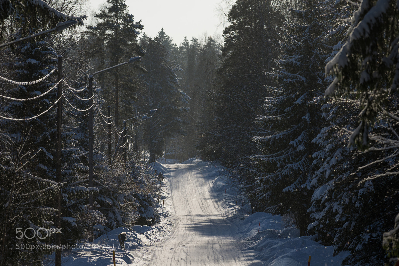 Nikon D600 sample photo. Road1 photography