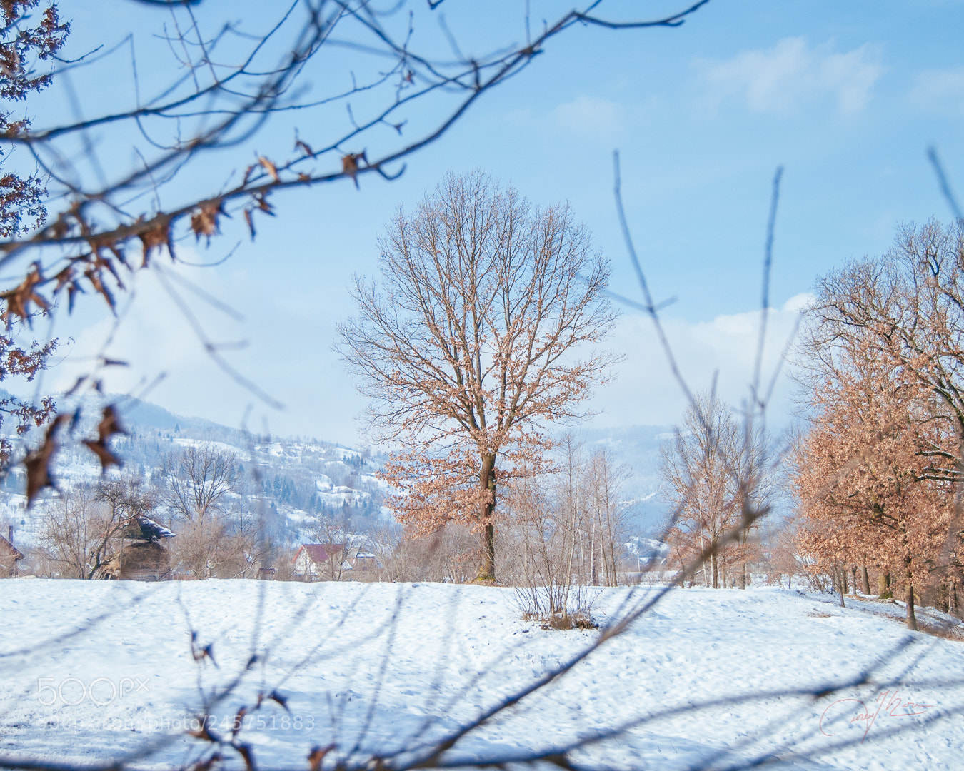 Nikon D3000 sample photo. Silent photography
