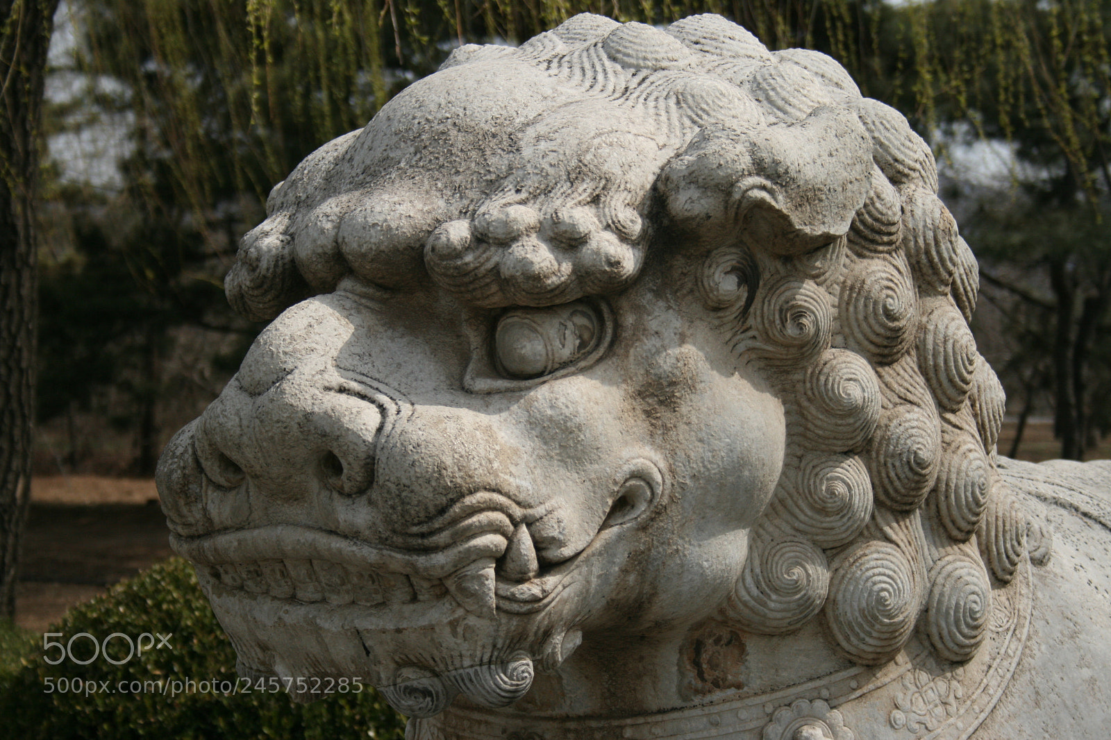 Canon EF-S 18-55mm F3.5-5.6 II sample photo. Cina photography