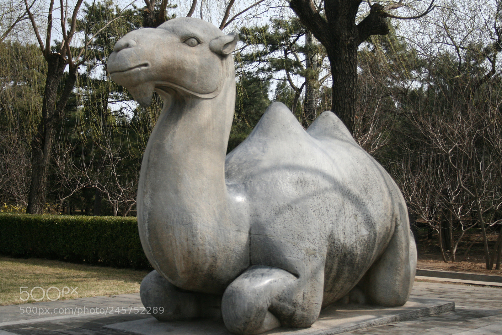 Canon EF-S 18-55mm F3.5-5.6 II sample photo. Cina photography