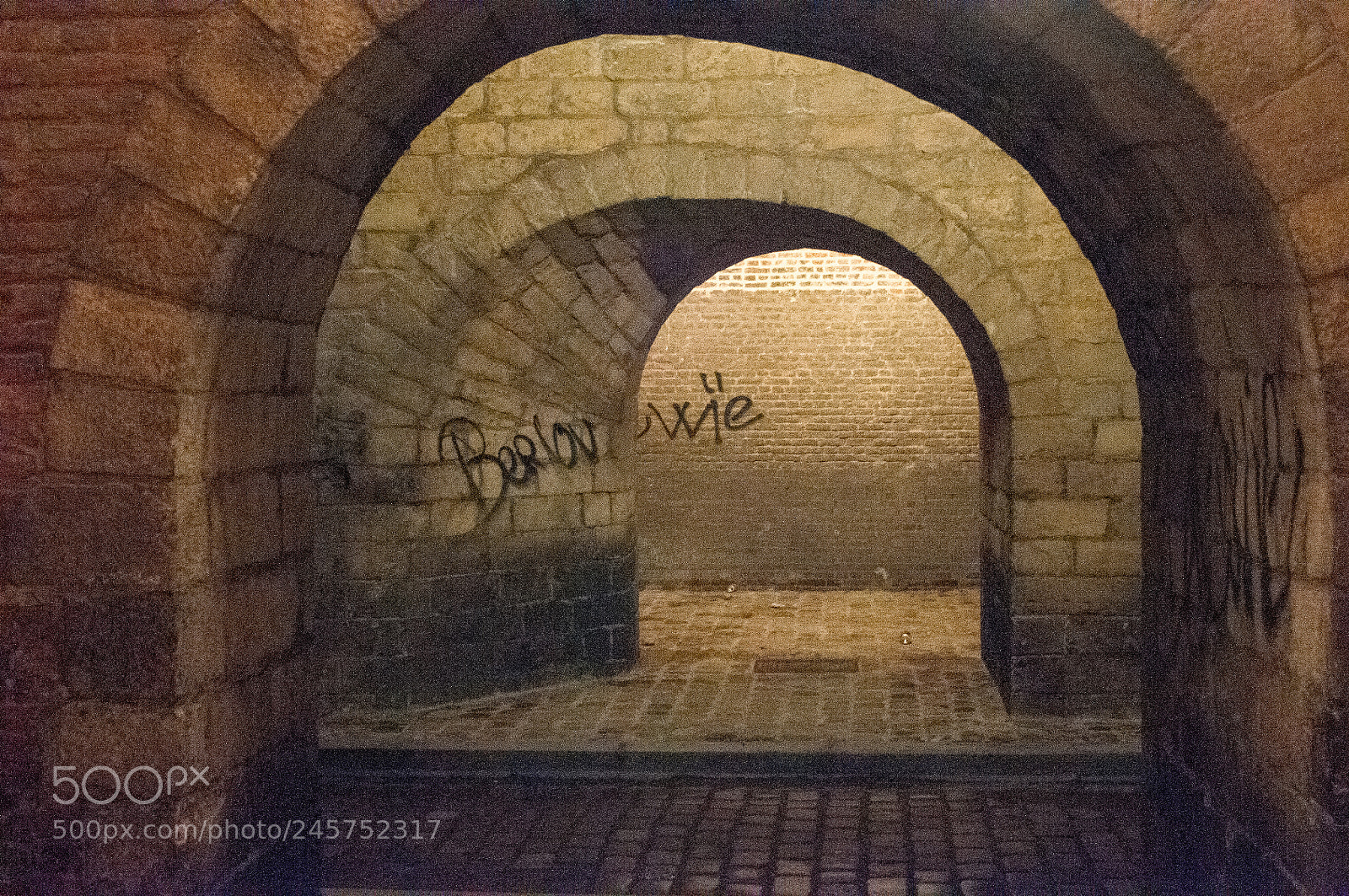 Nikon D300 sample photo. Lille - city gate photography