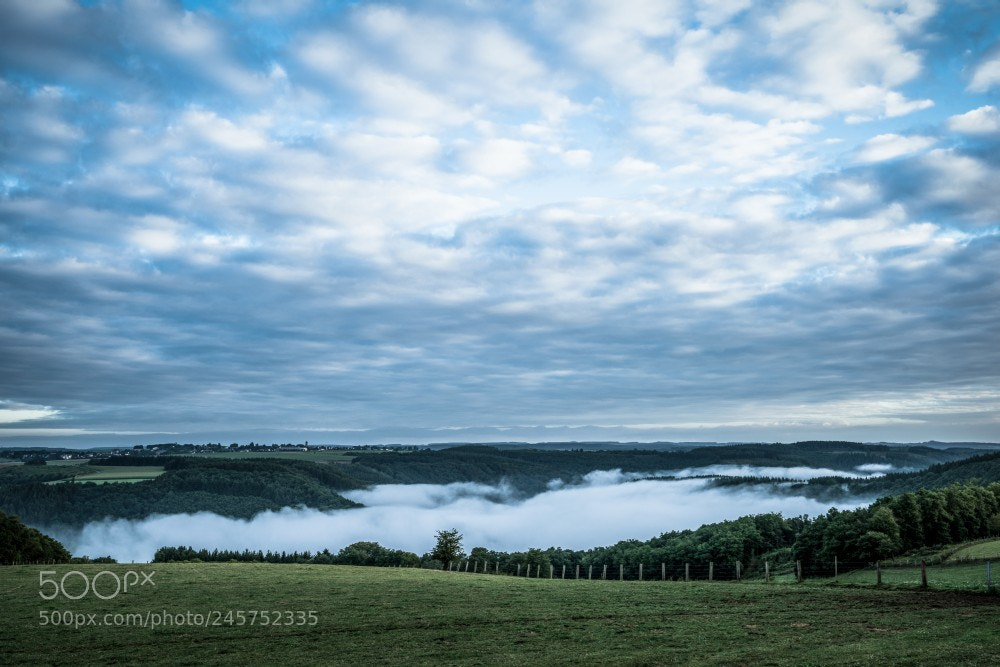 Nikon D810 sample photo. Mist photography